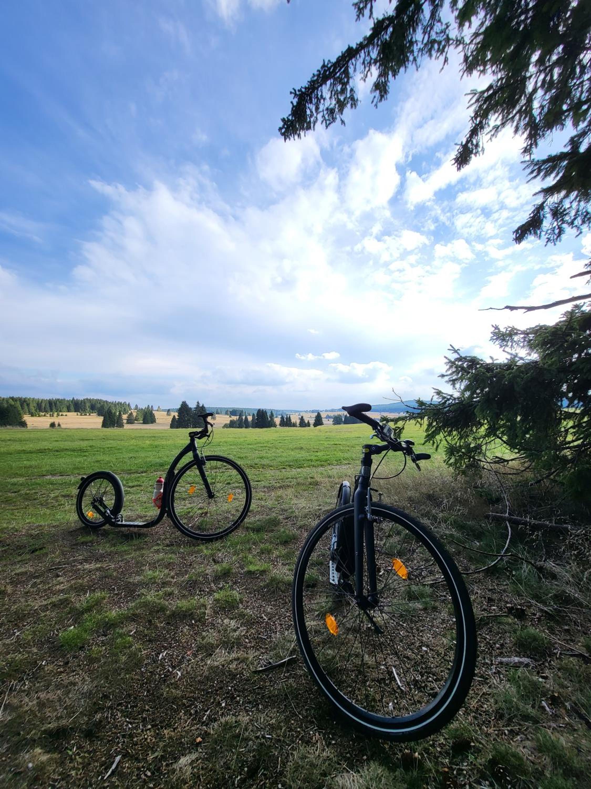 Apartmán U Zlaté břízy Krušné hory - Erzgebirge