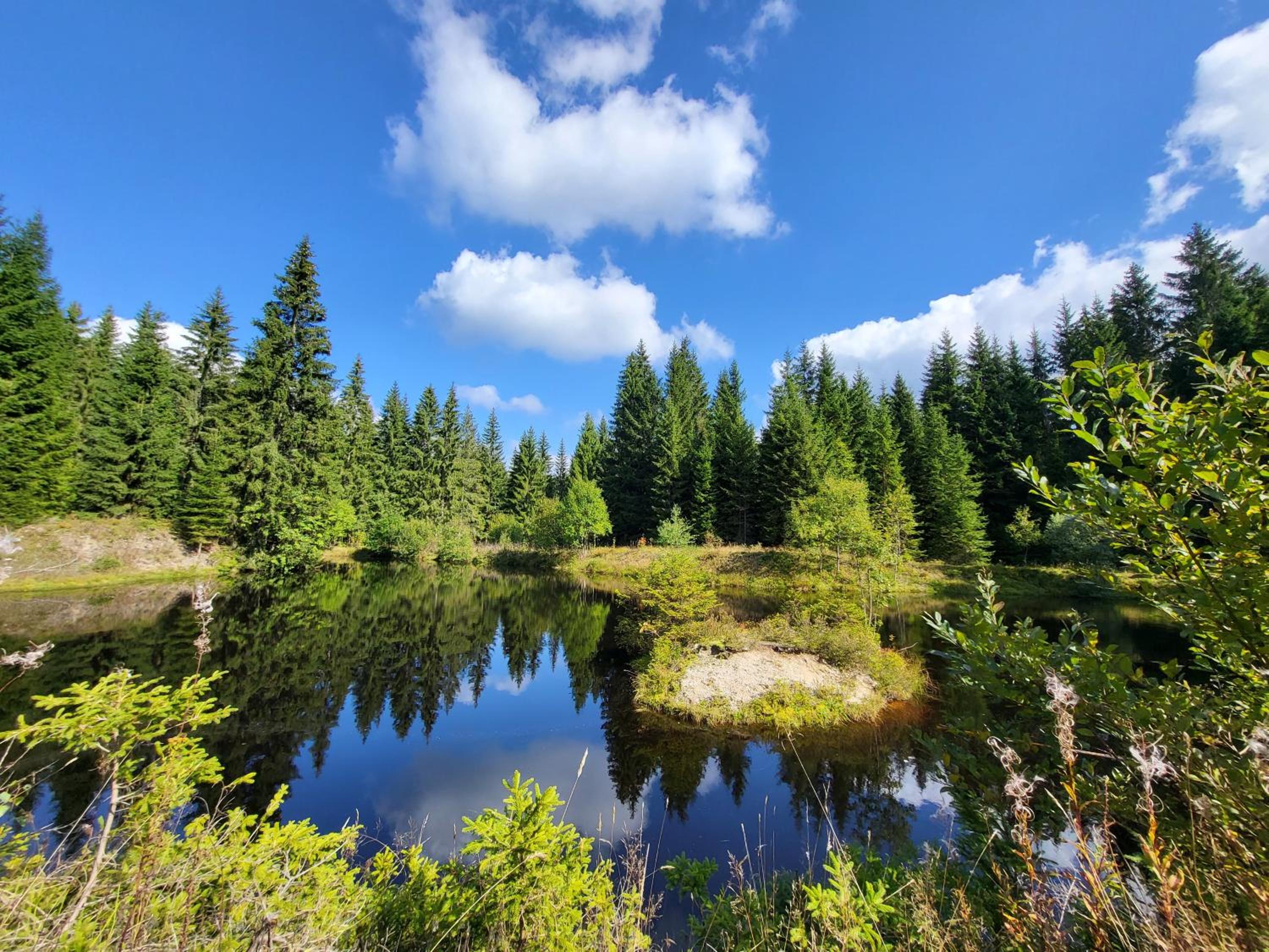 Apartmán U Zlaté břízy Krušné hory - Erzgebirge