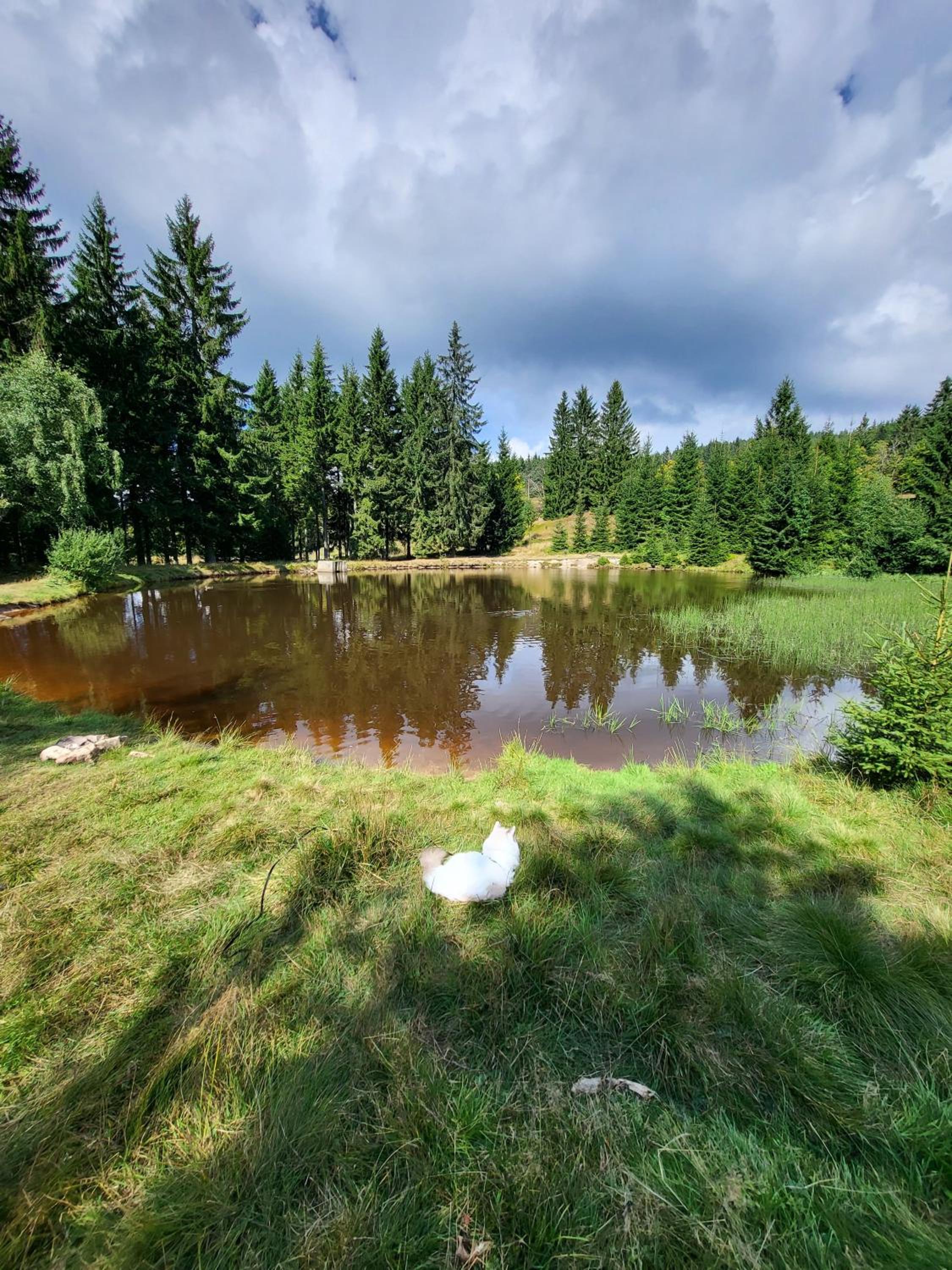 Apartmán U Zlaté břízy Krušné hory - Erzgebirge