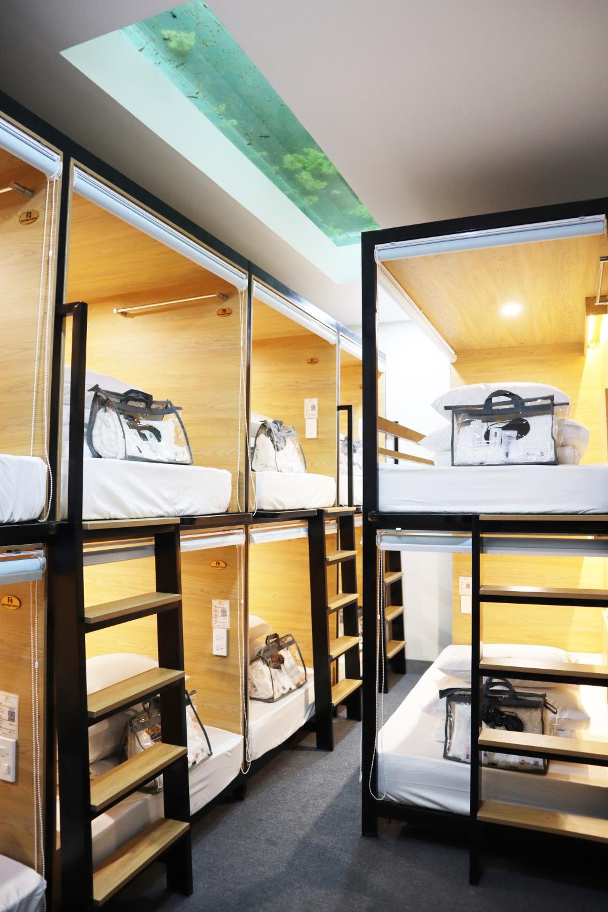 Amango Dorm