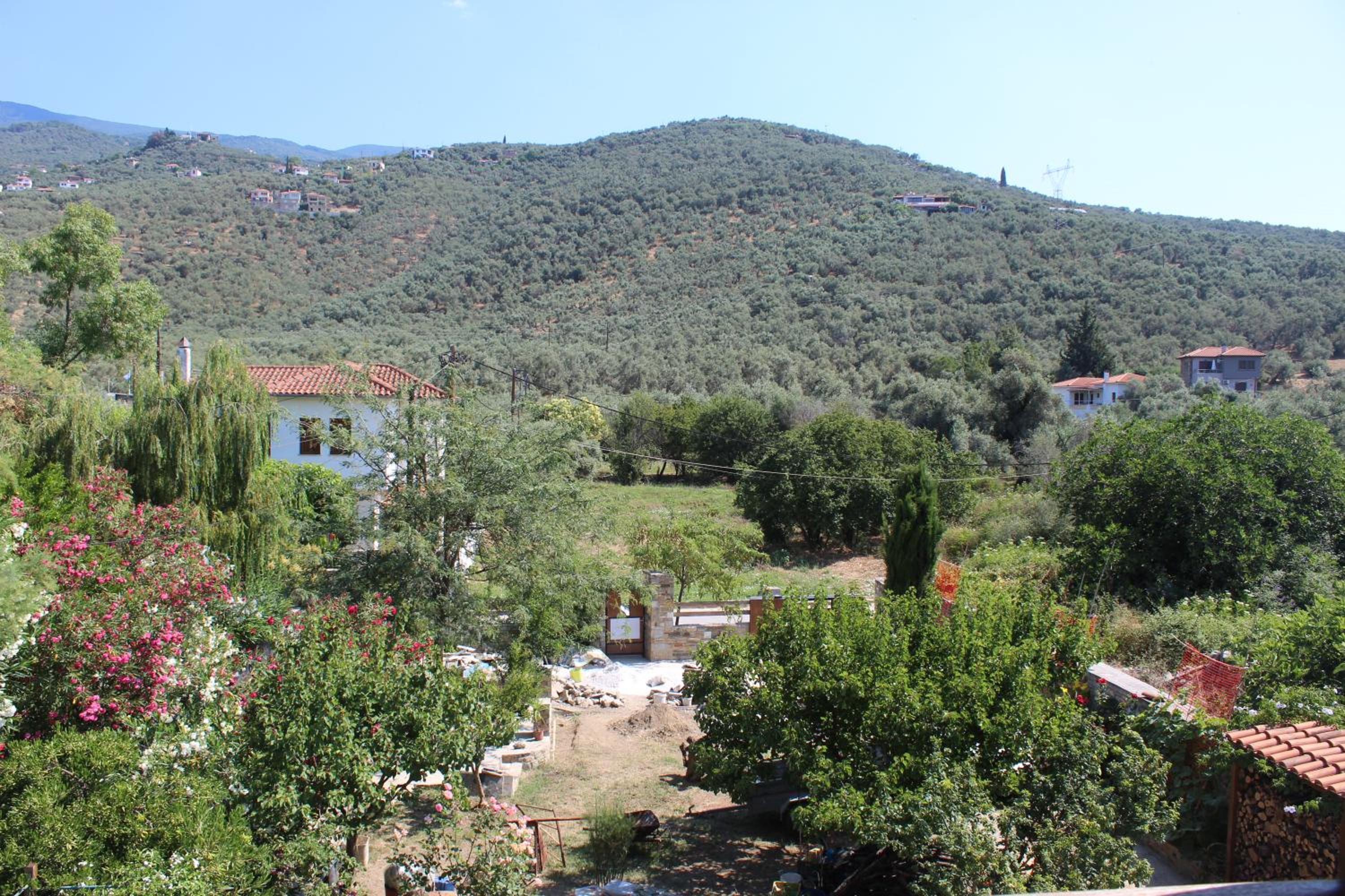 Photo 13