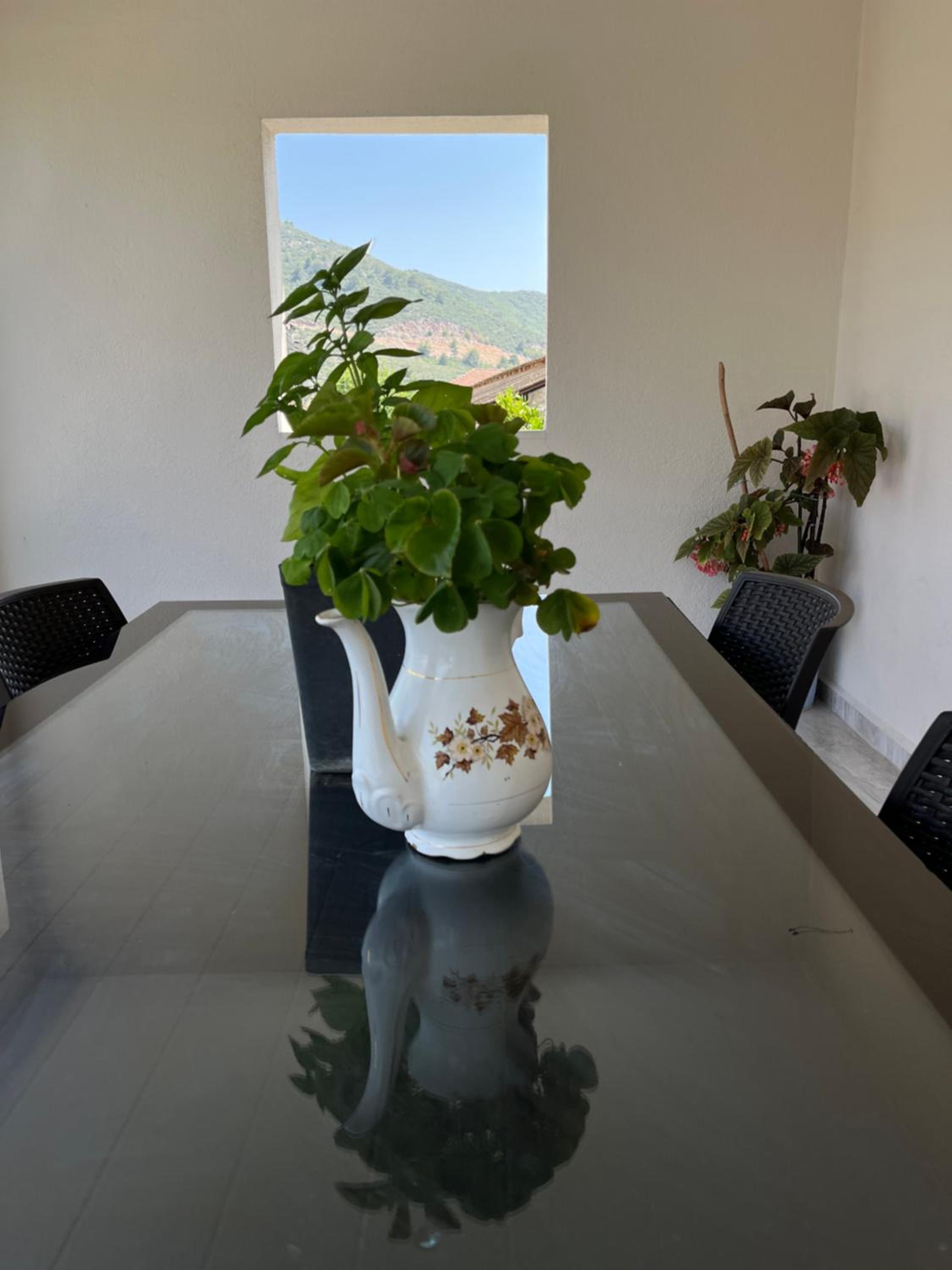 Apart Portakal Çiçeği