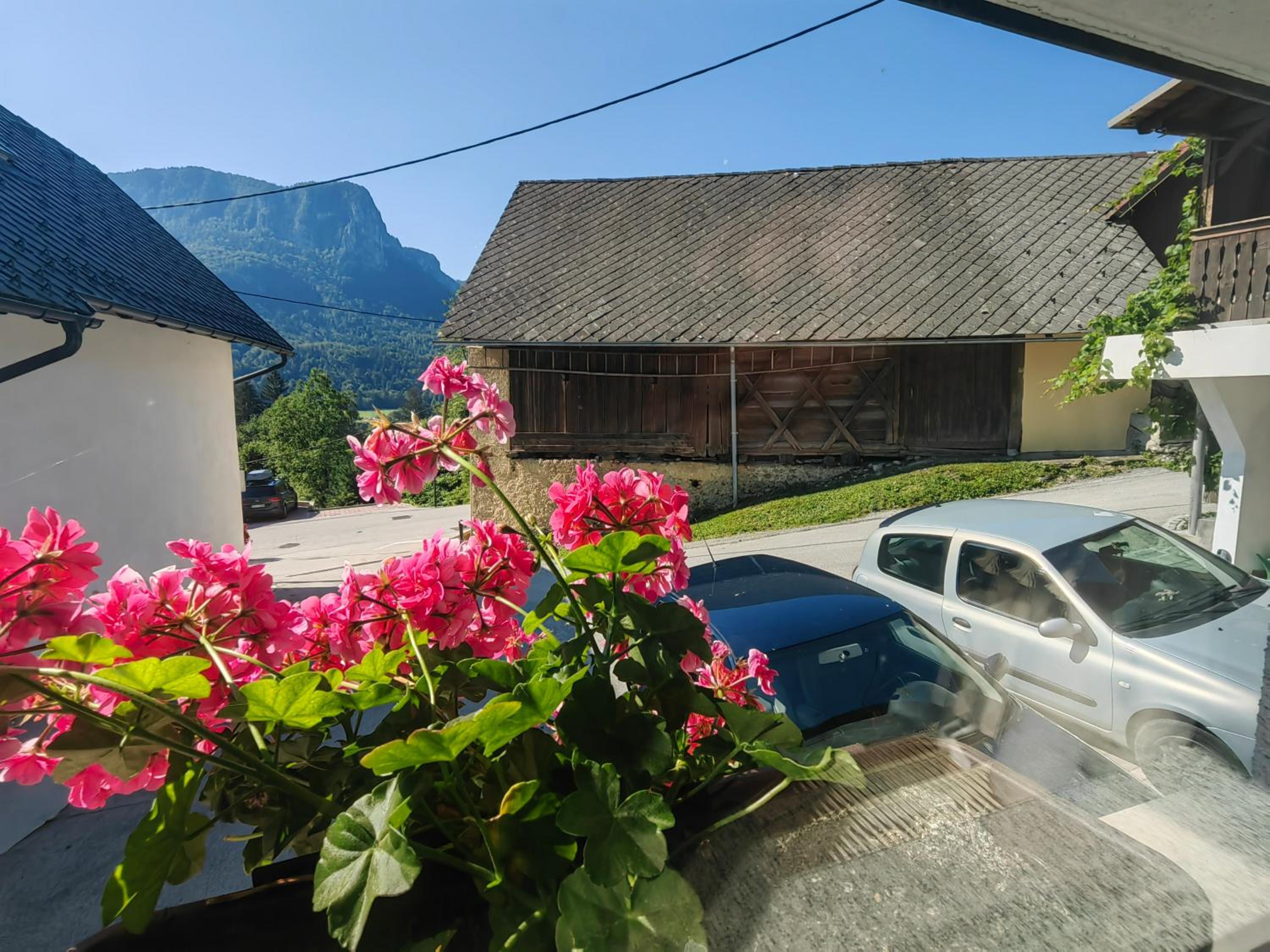 Apartma Bela view 5