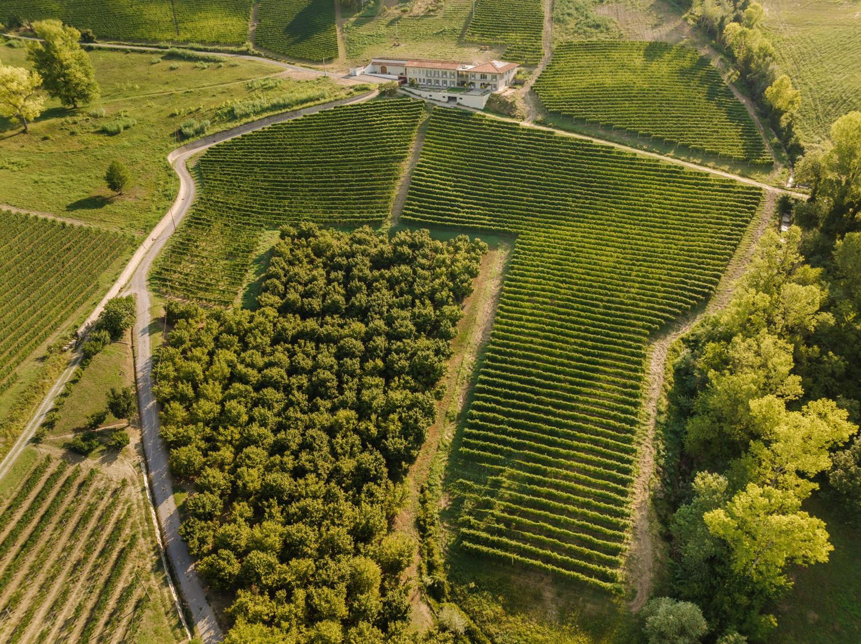 iCOLLIROSSI Agriturismo