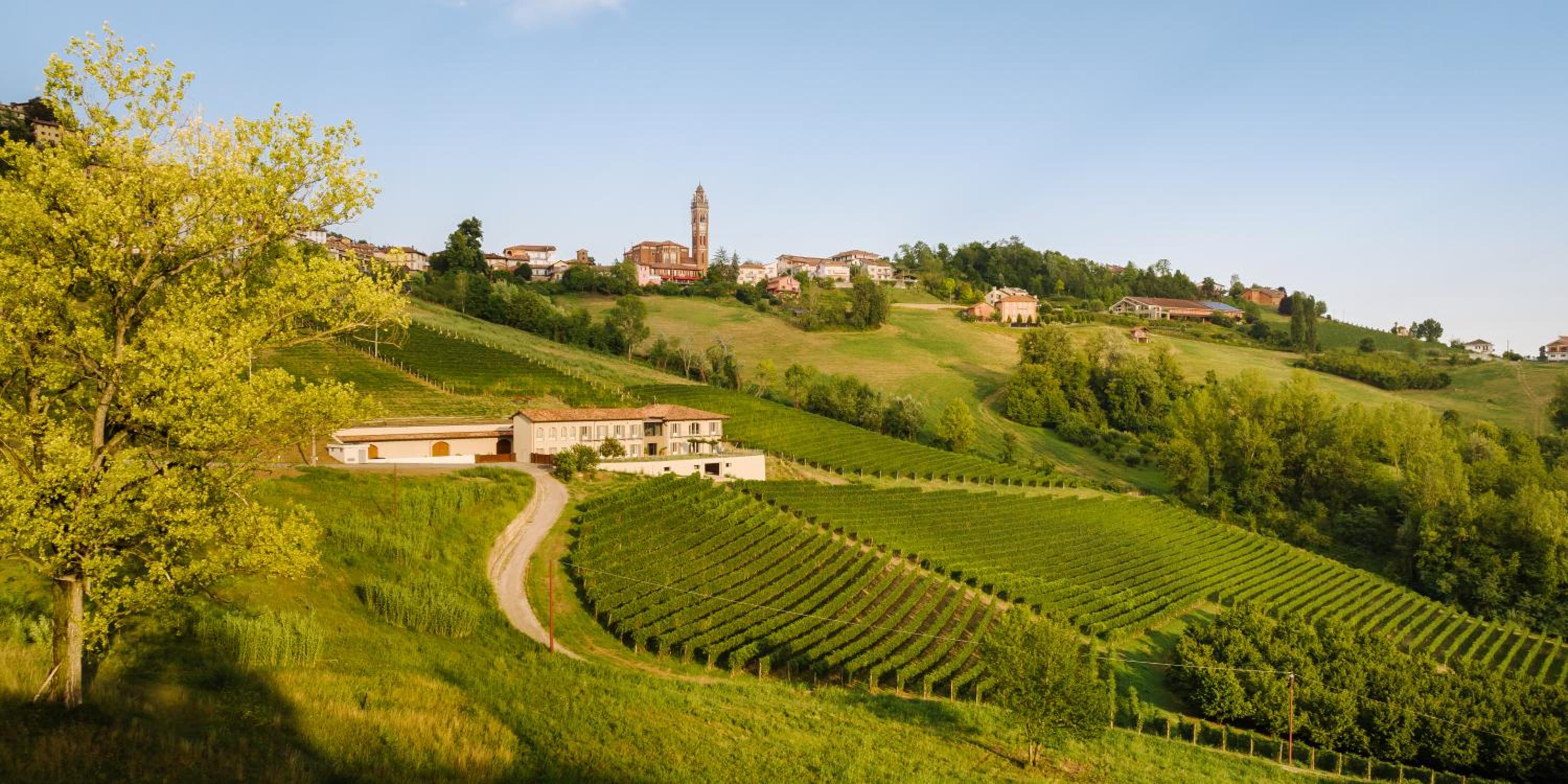iCOLLIROSSI Agriturismo