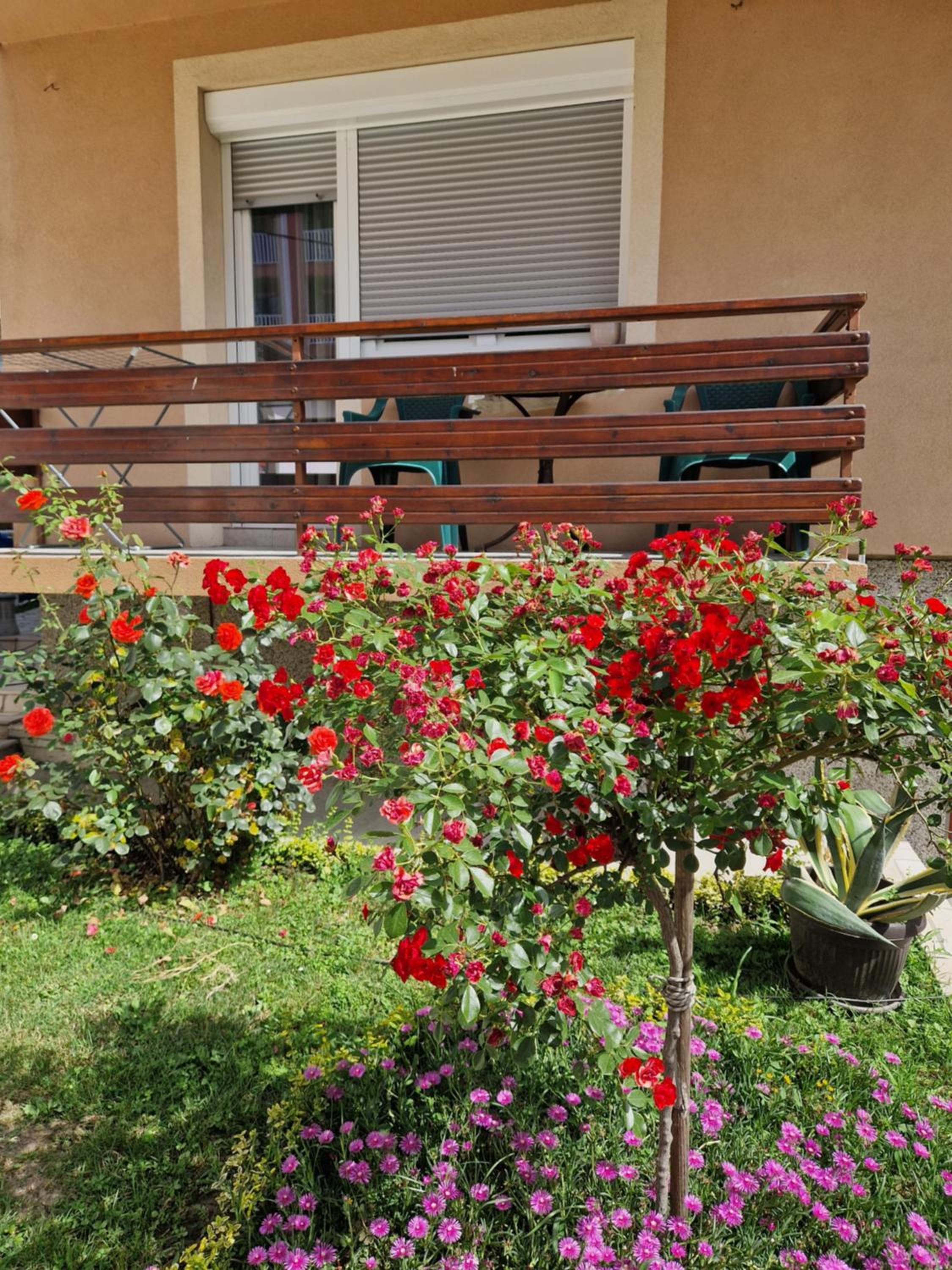Guesthouse Irac
