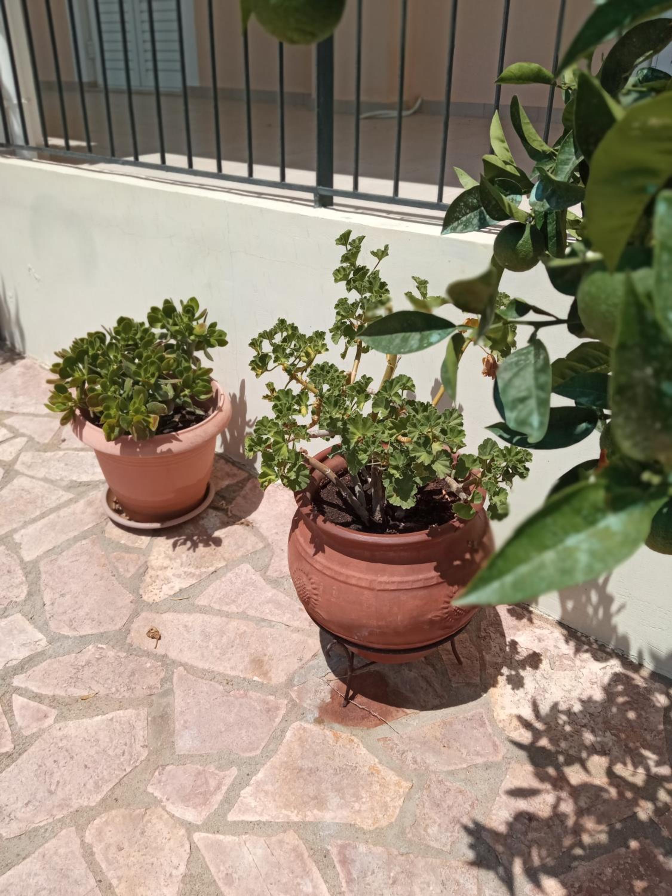 Garden Villas