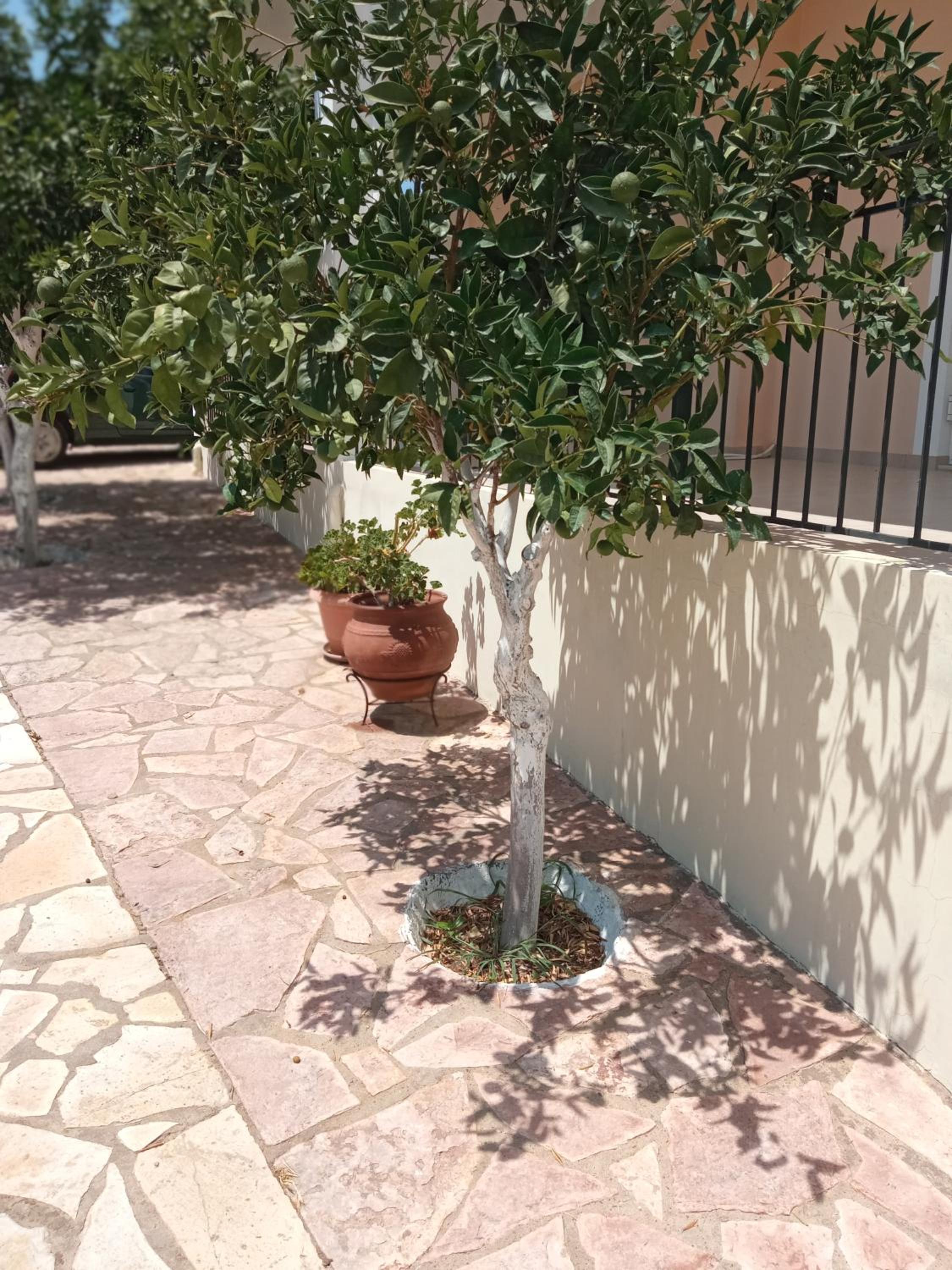 Garden Villas
