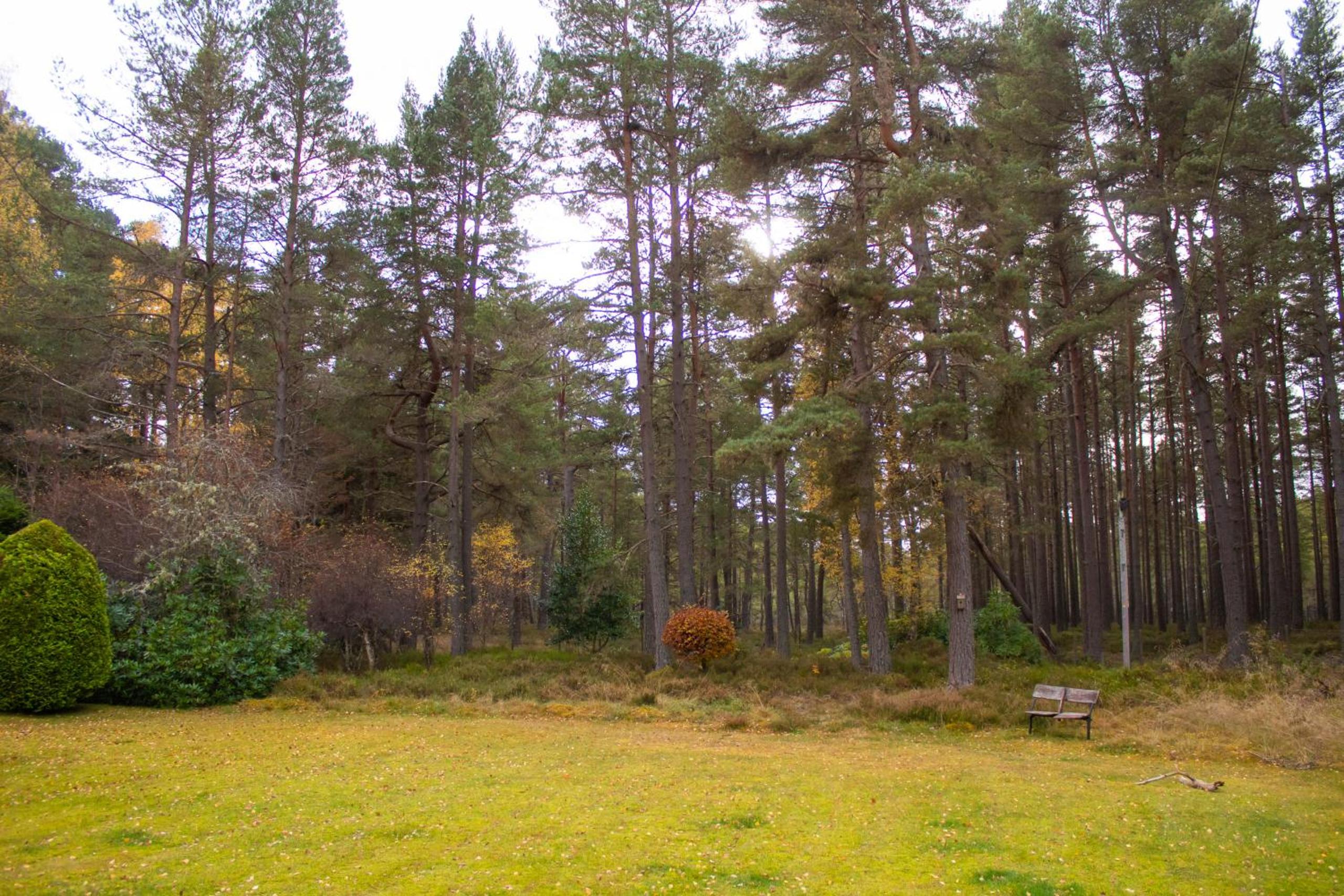 Dalnaglar