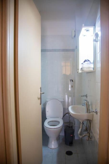 Oasis Great Apartment
