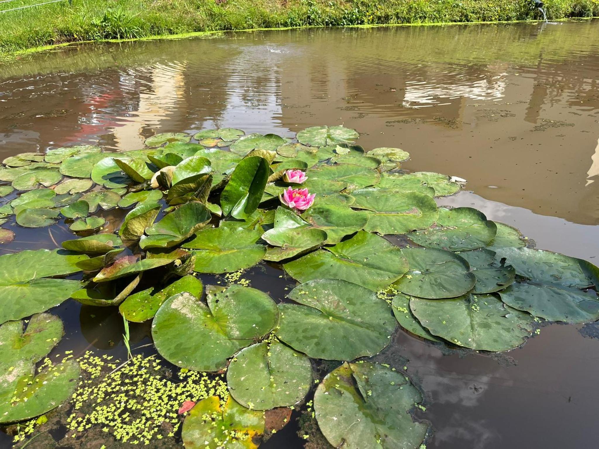 Ubytování Chotěvice