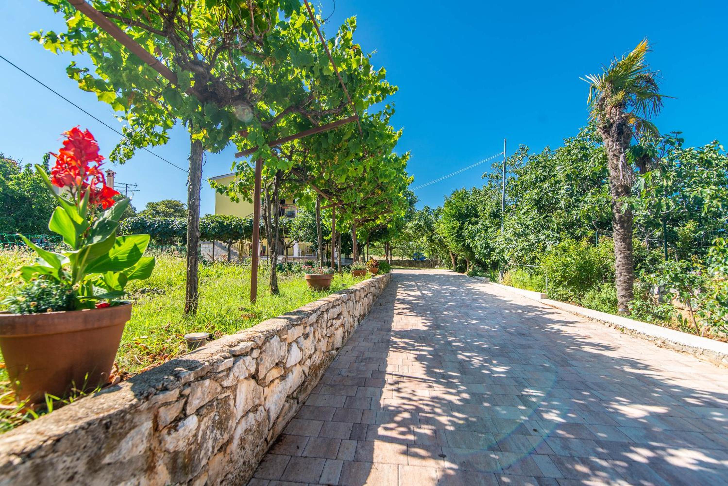 Villa Maria Nives view 4