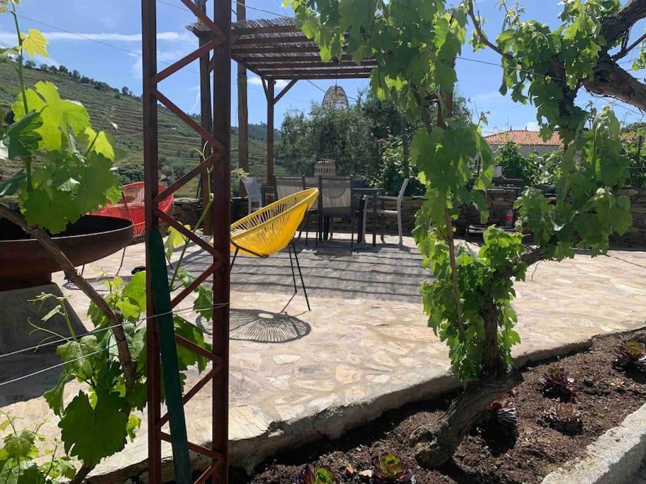 Valadouro Cottage Douro Vallée with a Pool