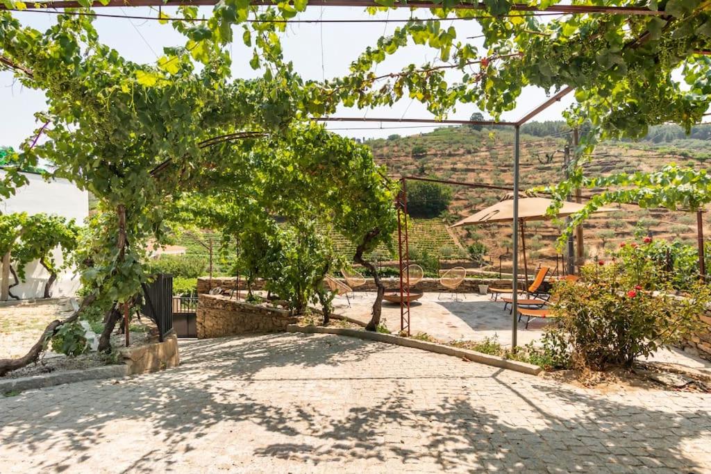 Valadouro Cottage Douro Vallée with a Pool