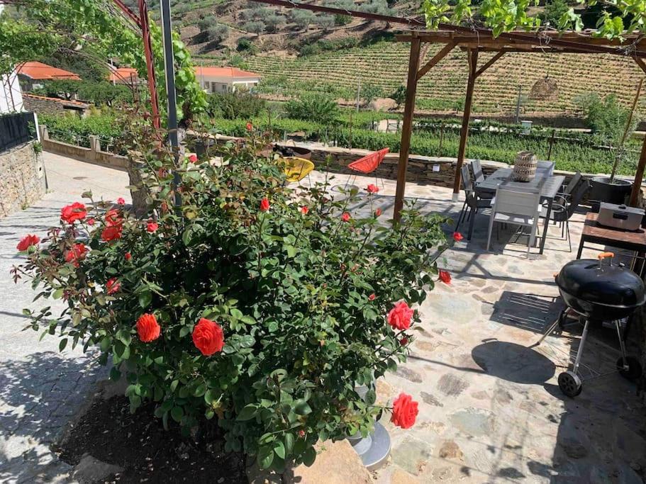 Valadouro Cottage Douro Vallée with a Pool