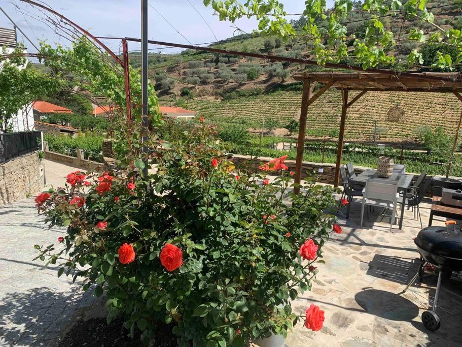 Valadouro Cottage Douro Vallée with a Pool