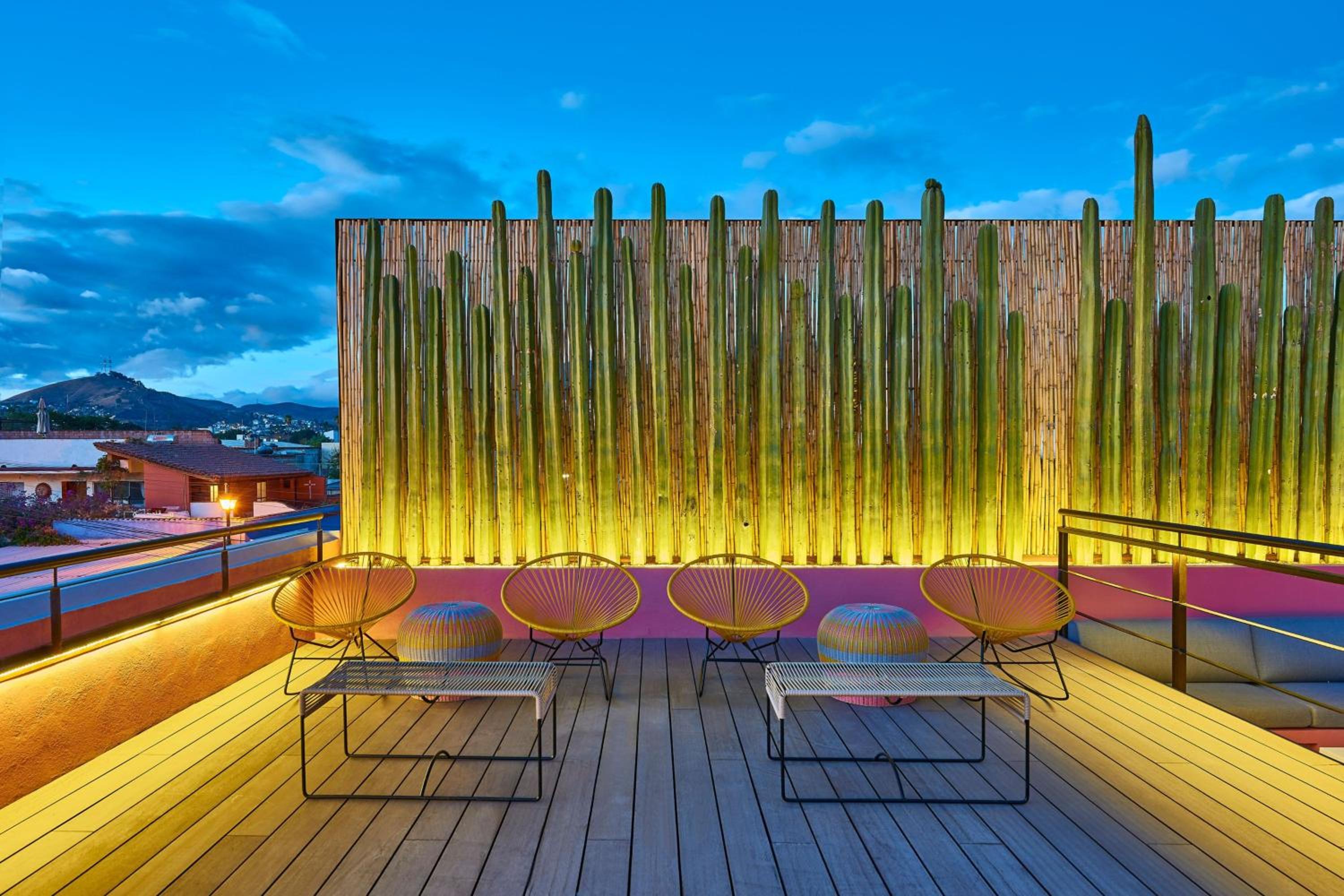 City Centro by Marriott Oaxaca - Property Image 4