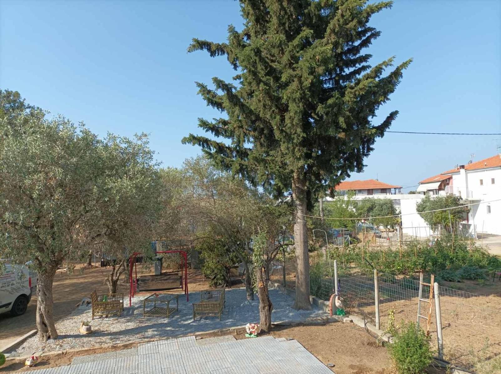 KTIMA ALEXANDROS