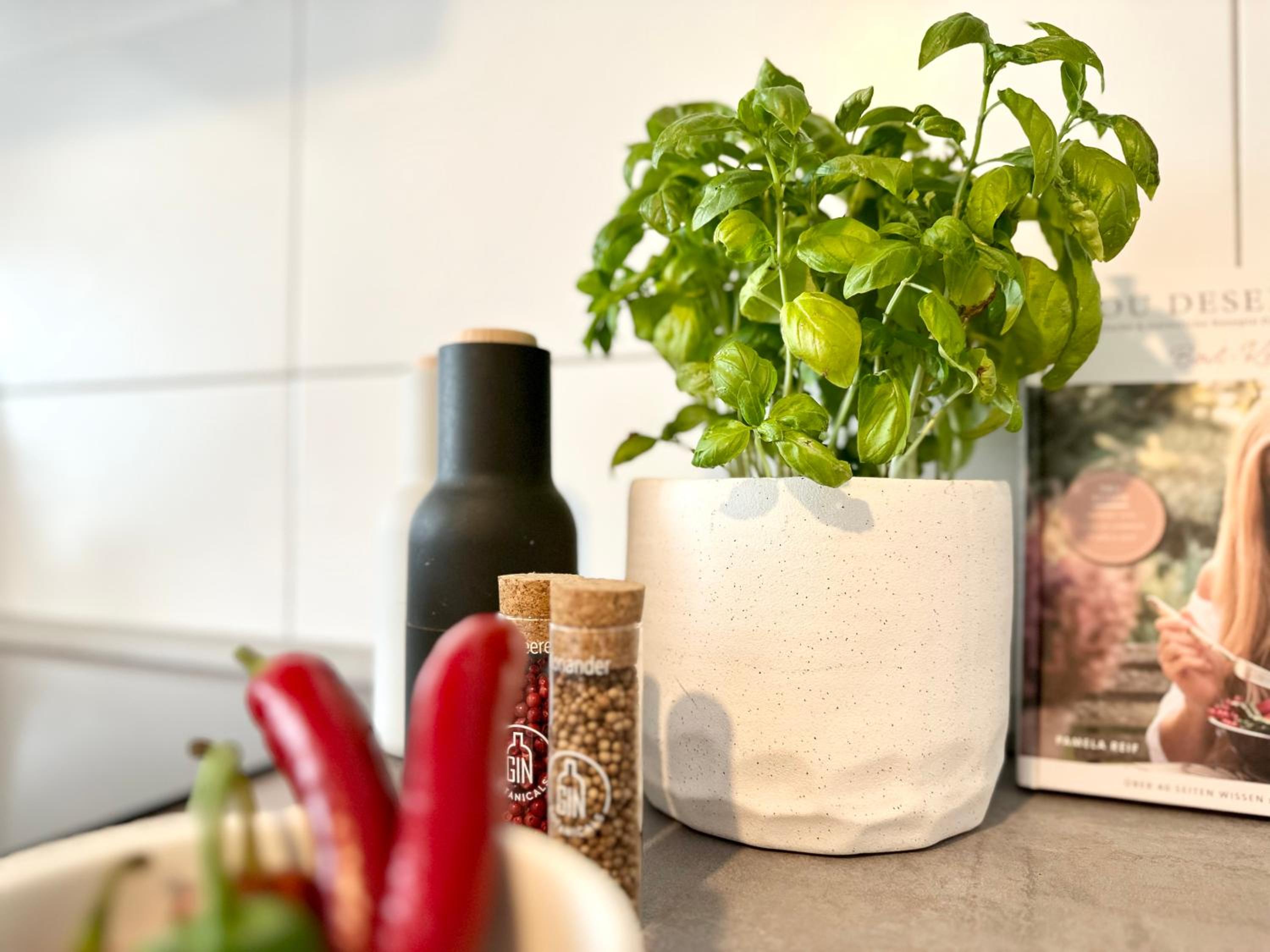 MyStay I Central Lofts I Superior Design Apartments Heidelberg