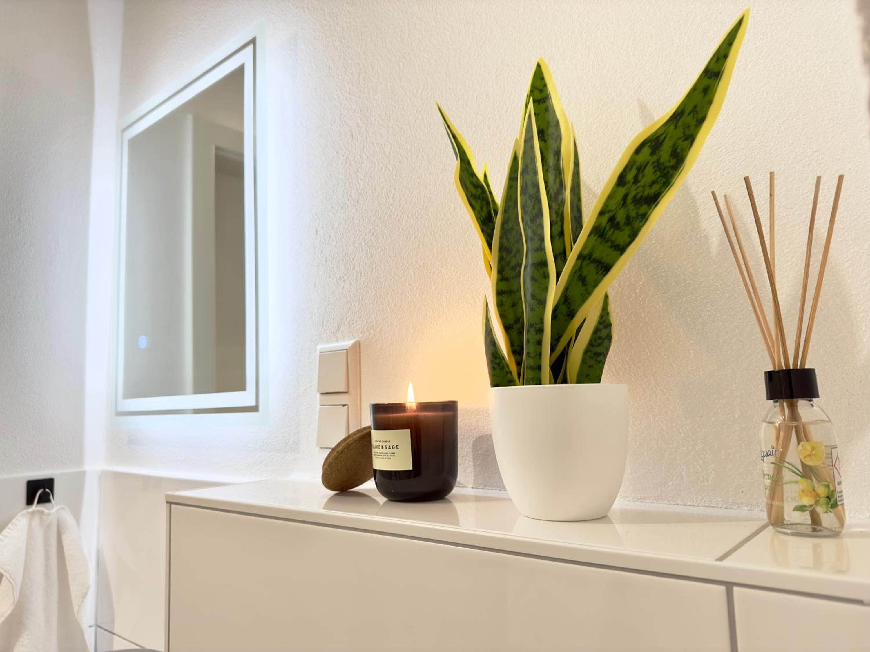 MyStay I Central Lofts I Superior Design Apartments Heidelberg