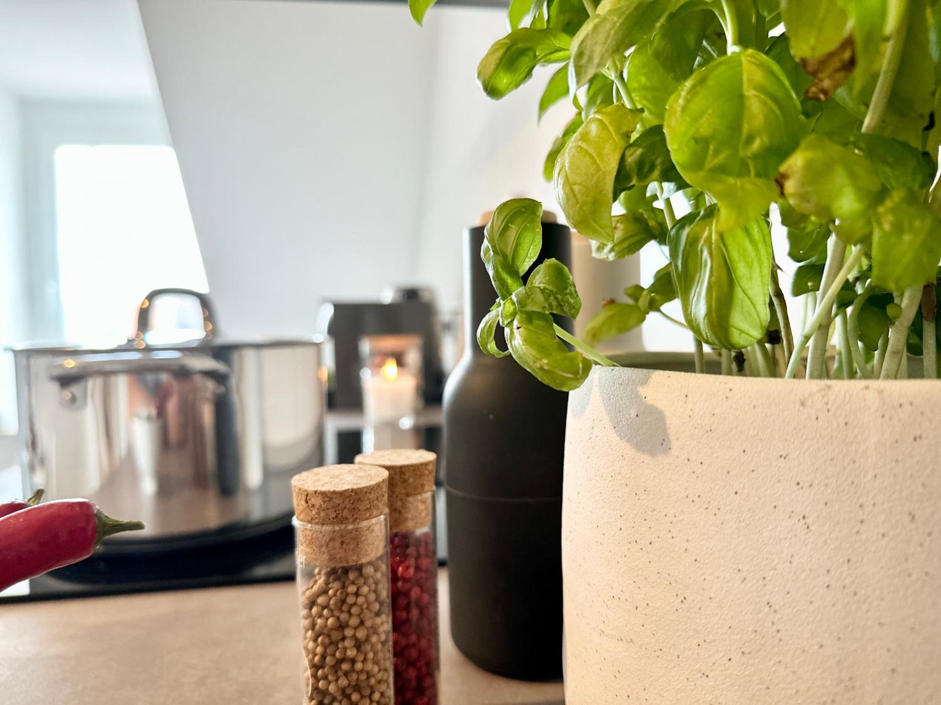 MyStay I Central Lofts I Superior Design Apartments Heidelberg