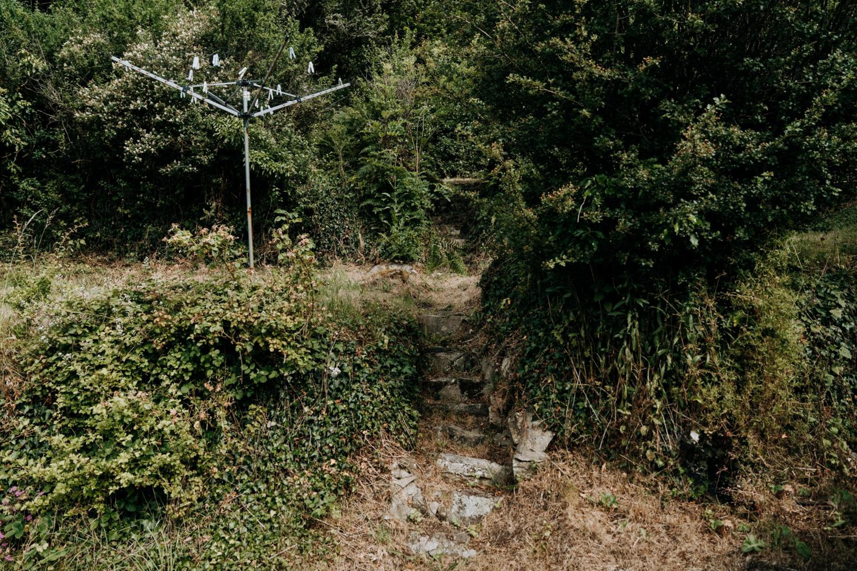 Photo 44