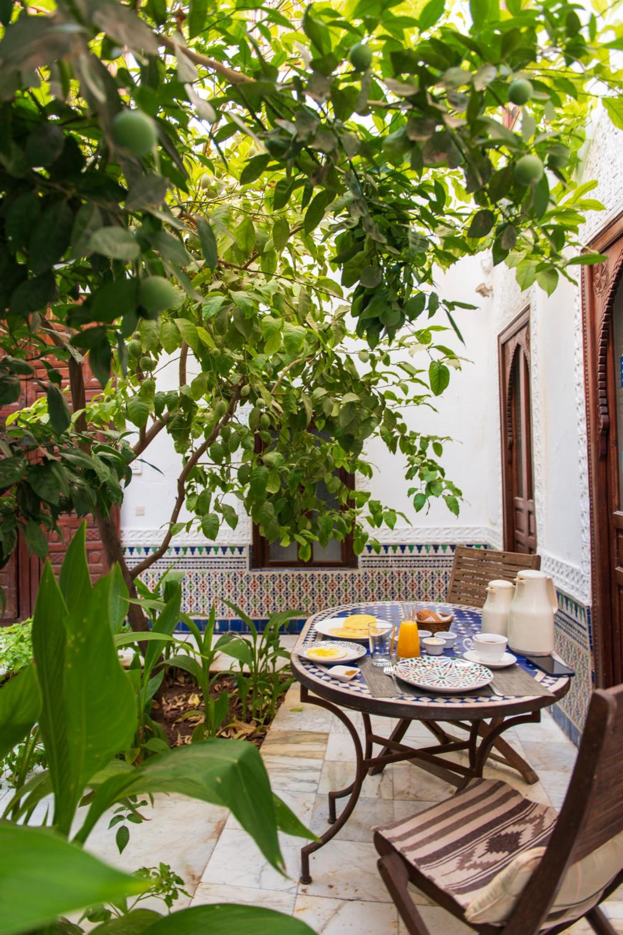 Riad Ben Youssef
