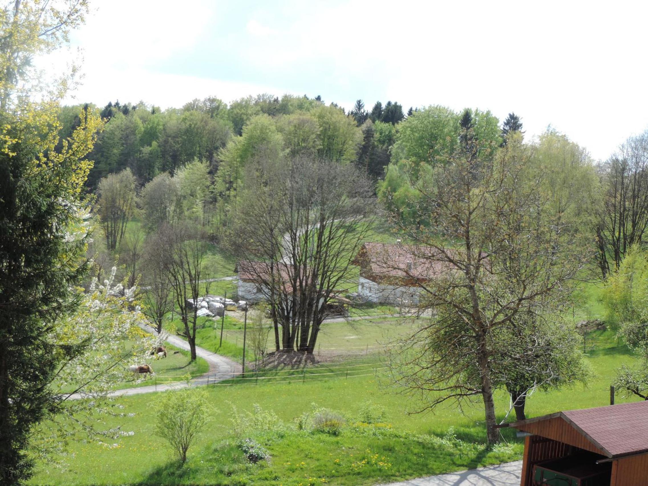 Photo 27