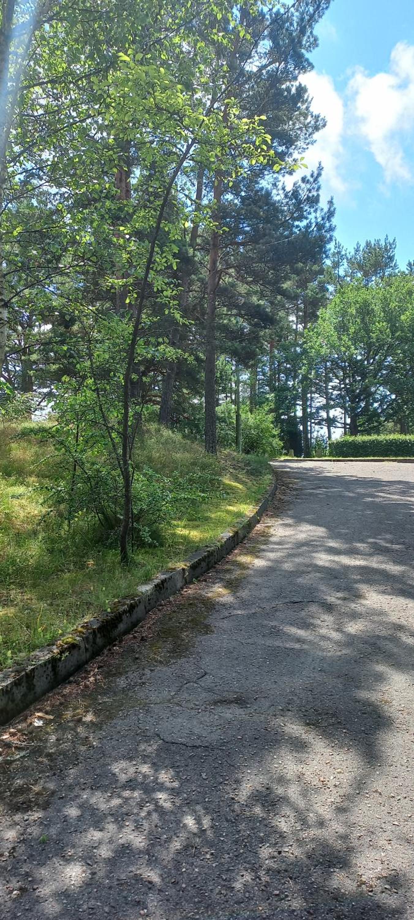 Nendrės apartamentai