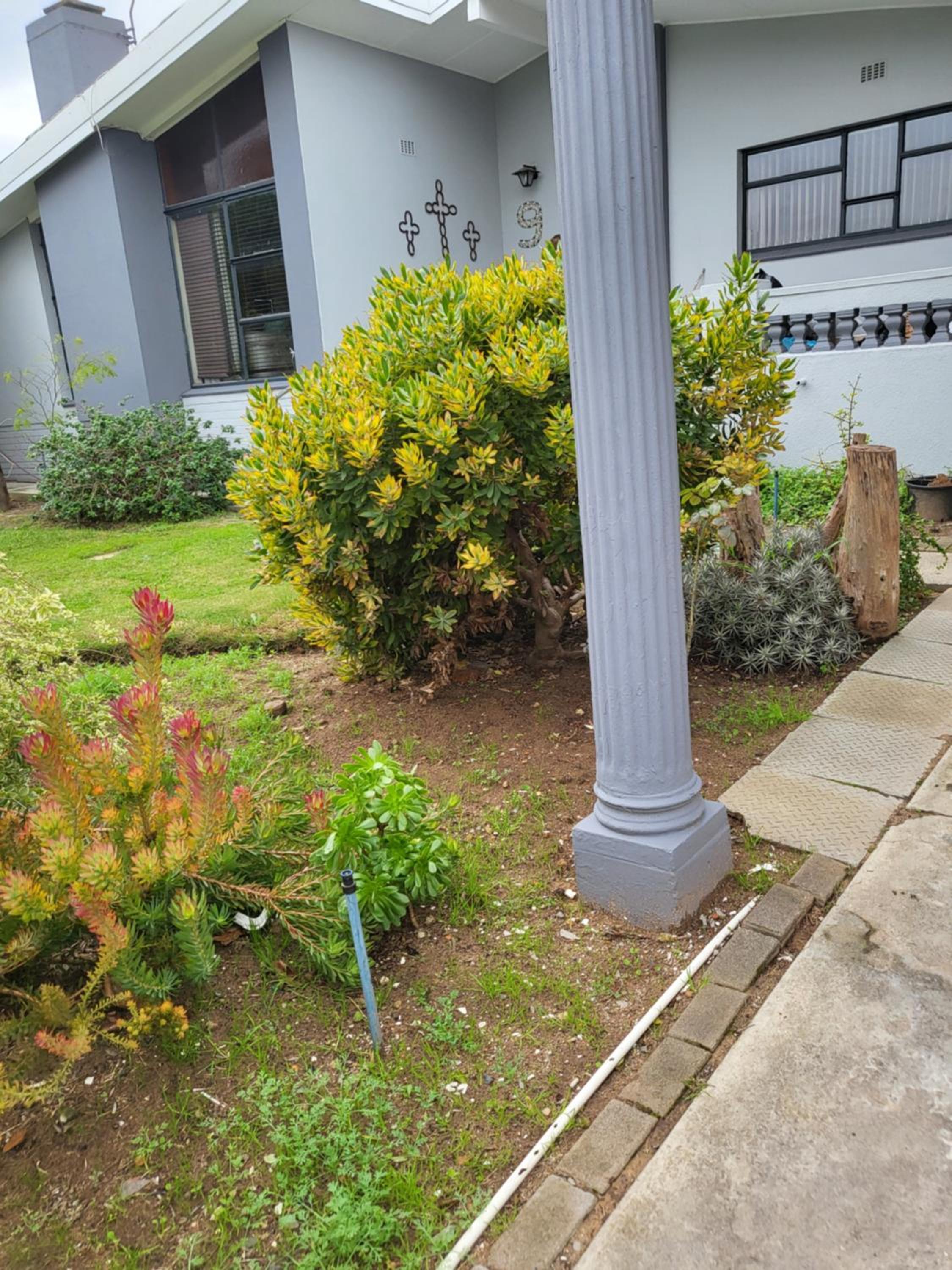 Photo 11