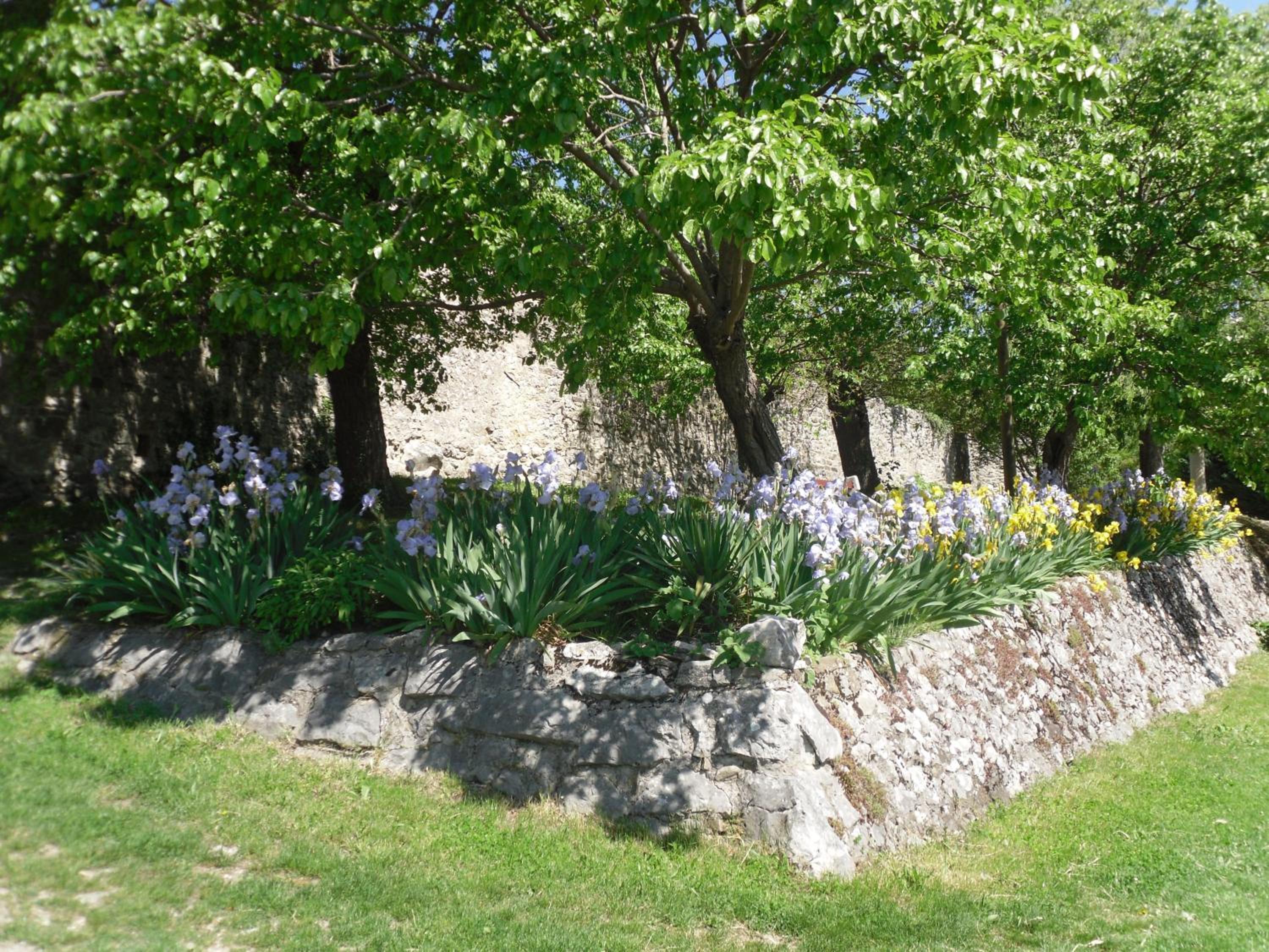 Photo 23