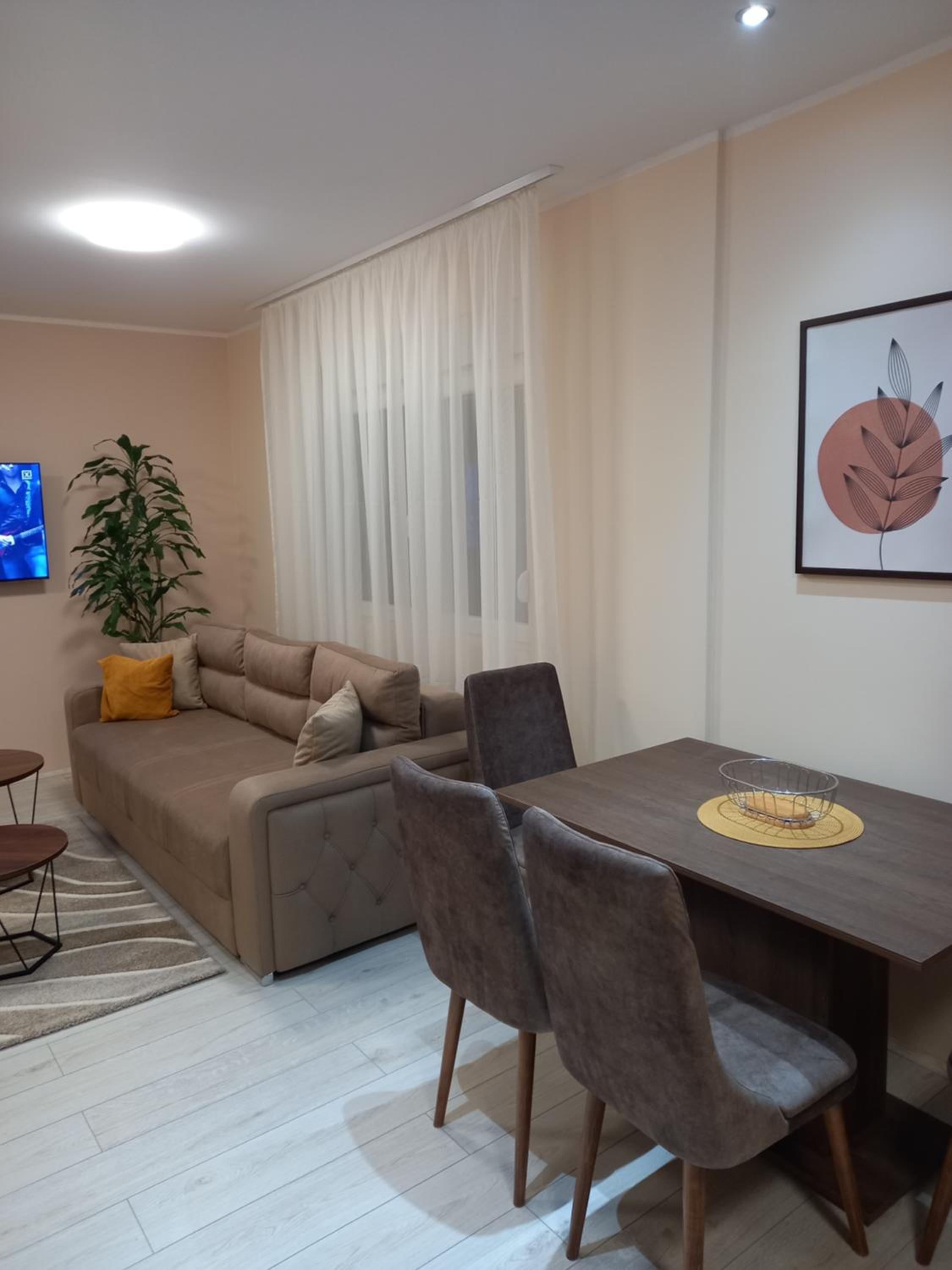 LEDA Apartmani view 4