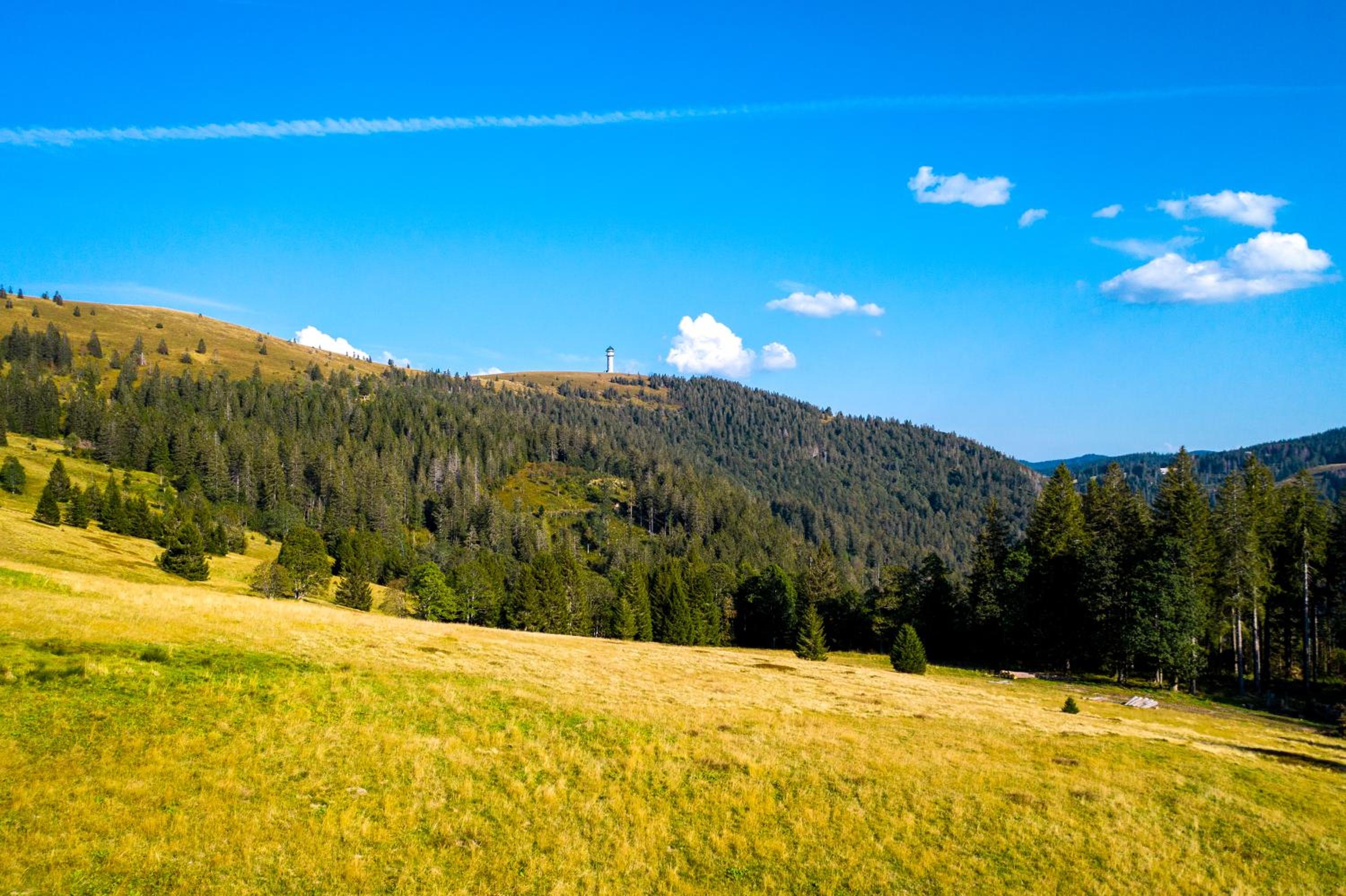 Berggasthof zur Todtnauer Hütte
