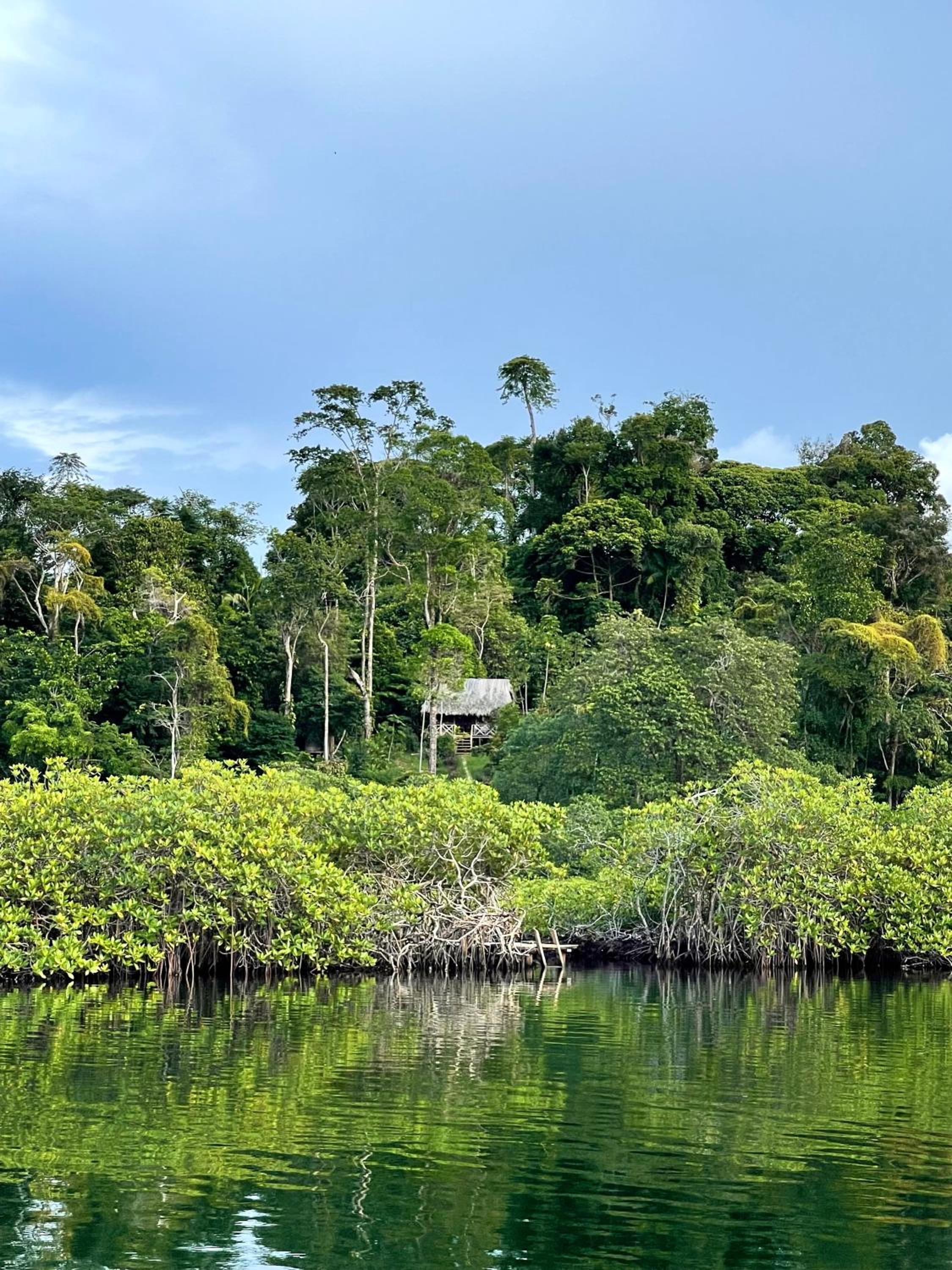 Konsenda Bocas del Toro view 4