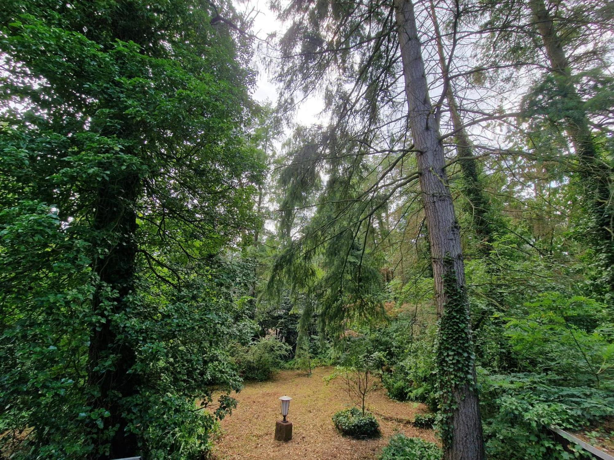 Ferienhaus Thymian in Hatten bei Oldenburg - Idyllische Waldlage