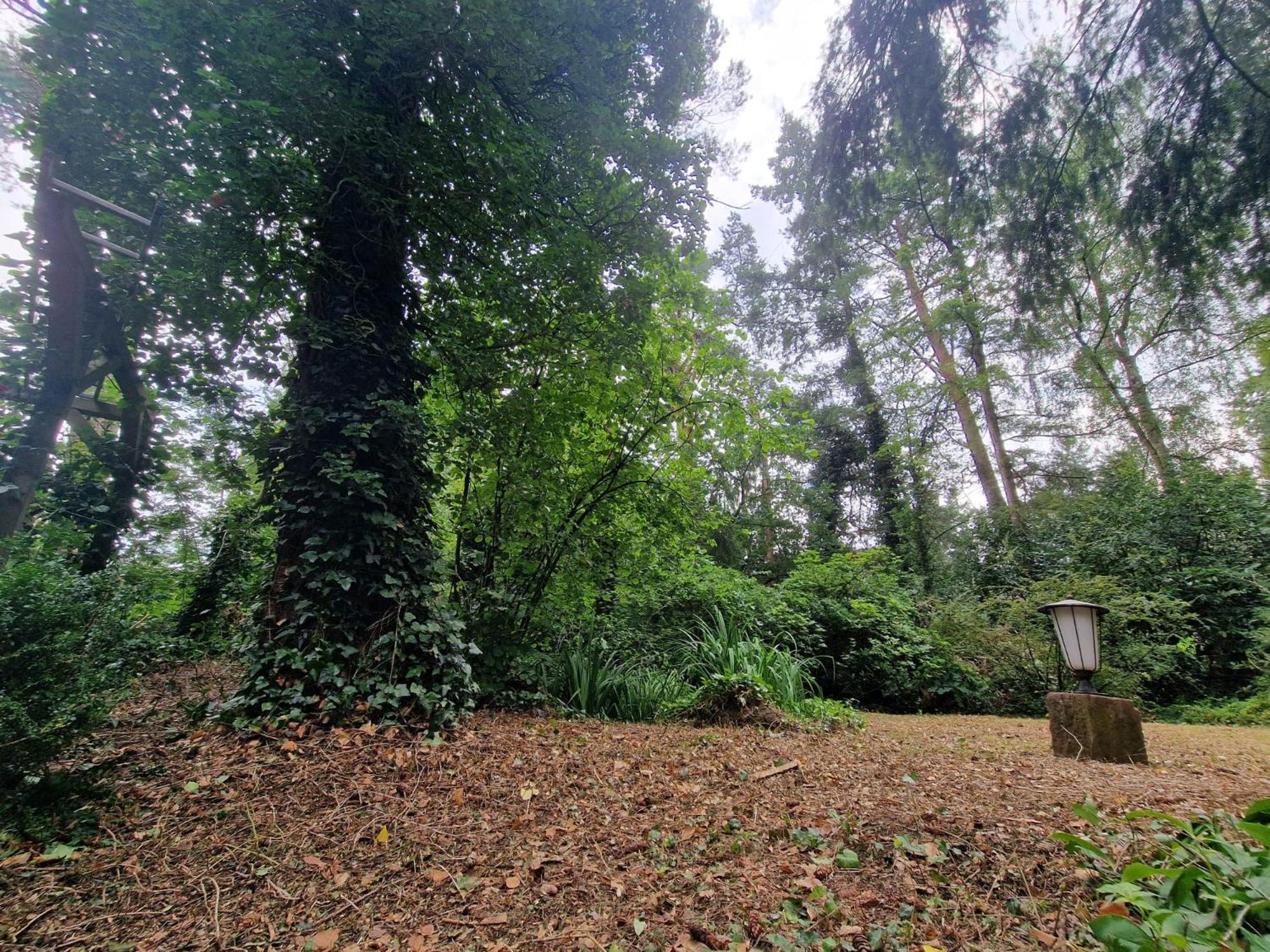 Ferienhaus Thymian in Hatten bei Oldenburg - Idyllische Waldlage