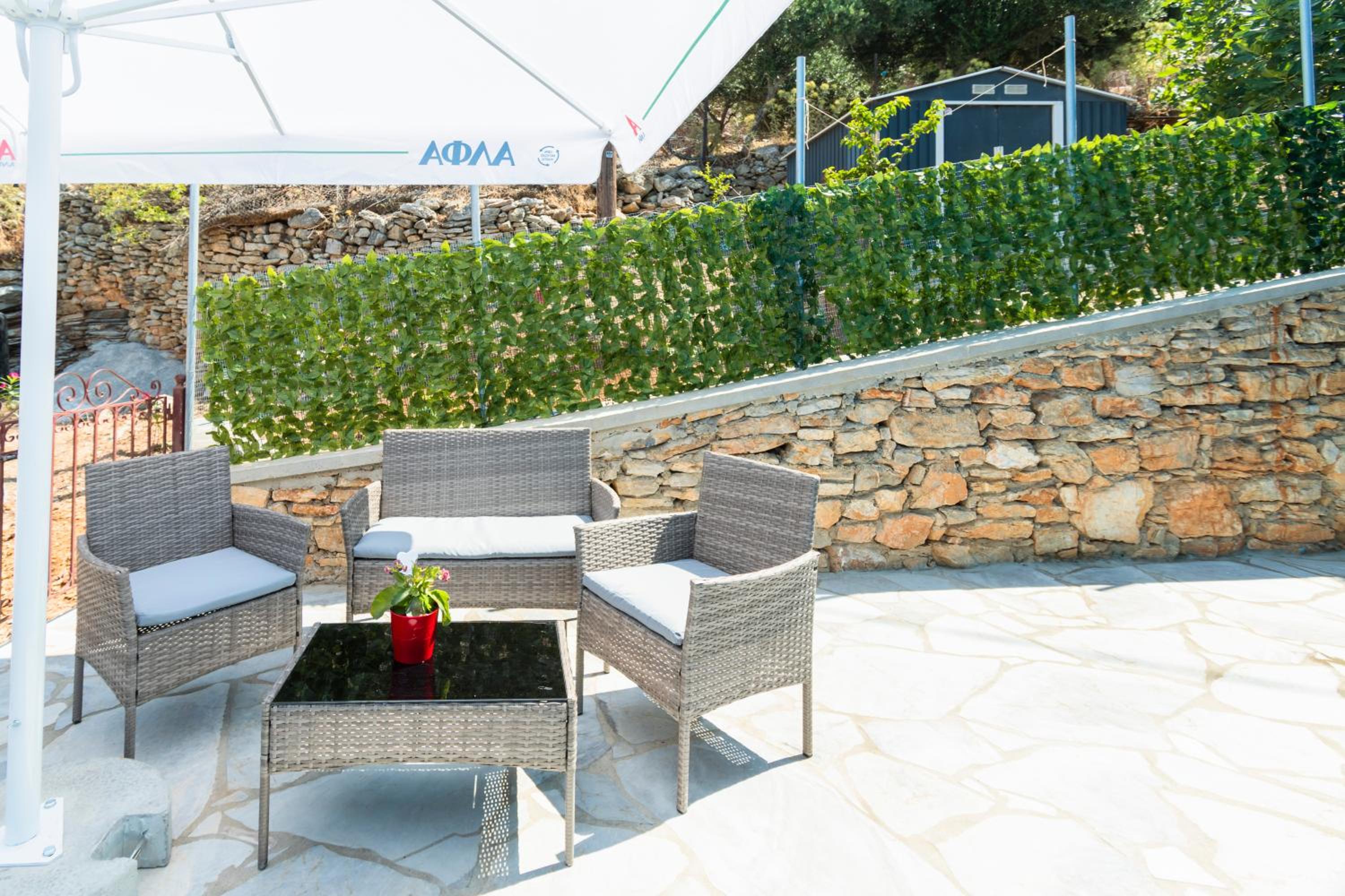 Aelia studio photo 4