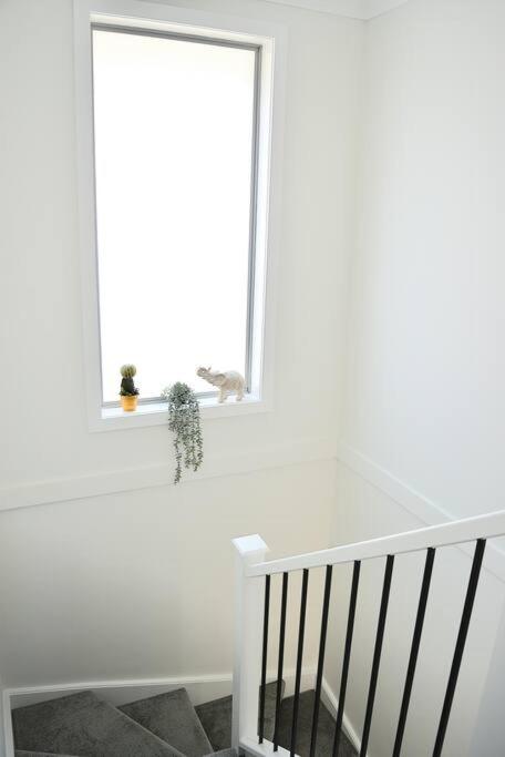 Elegant & Convenient New House at Leppington