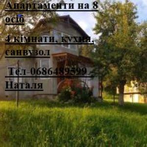 Photo 60