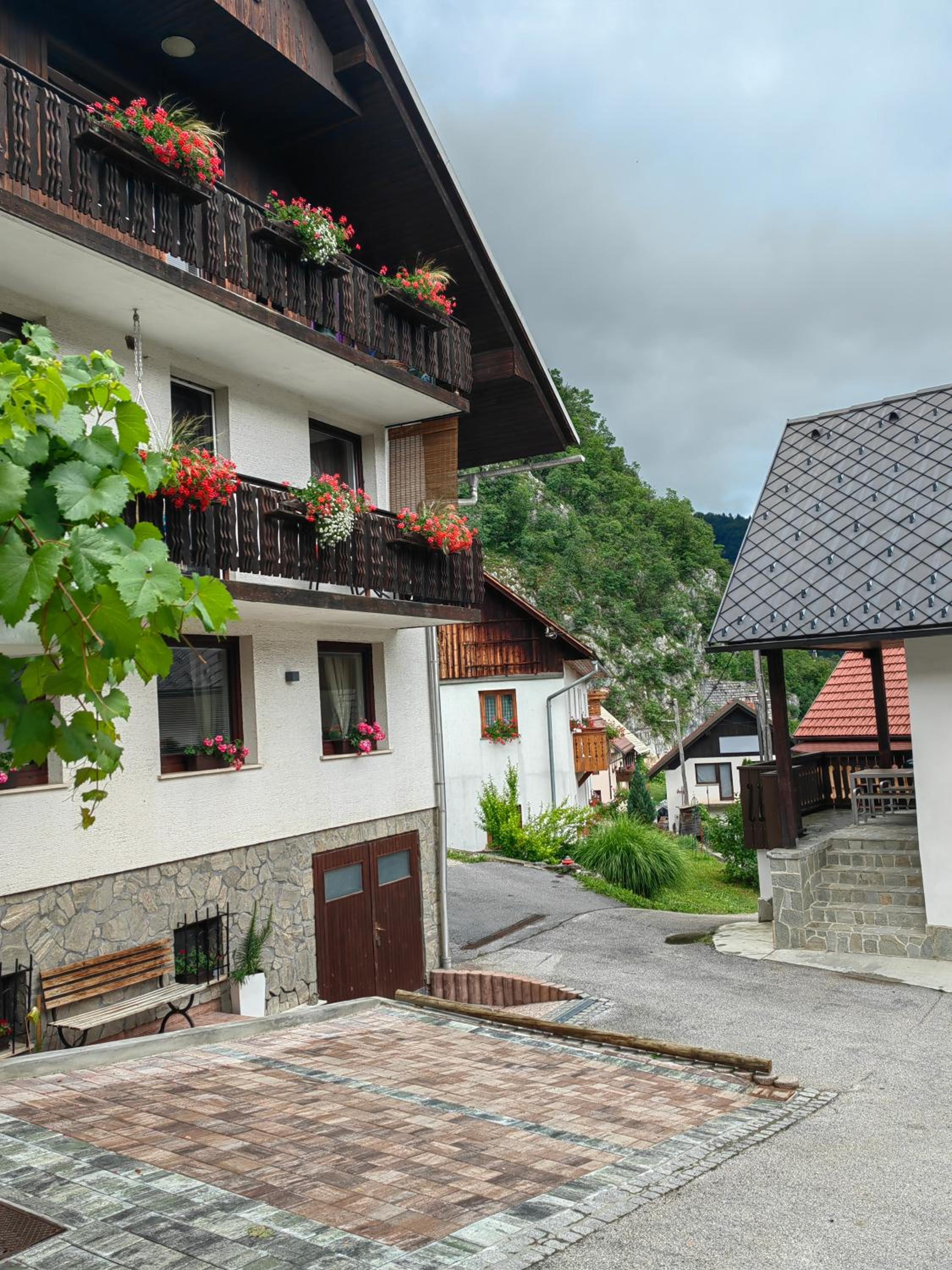 Apartma Bela view 2