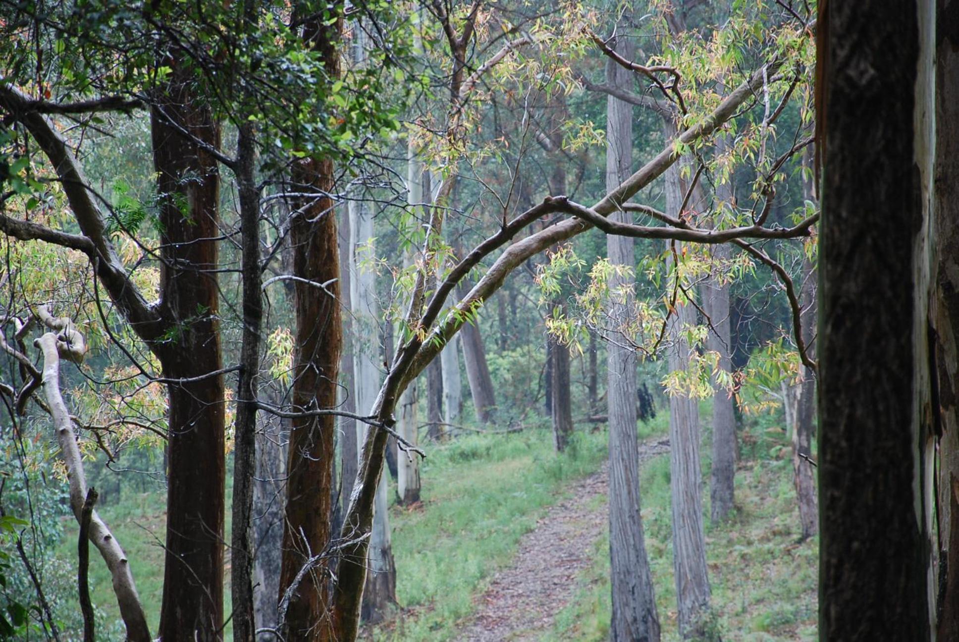 The Bower at Wildside Sanctuary