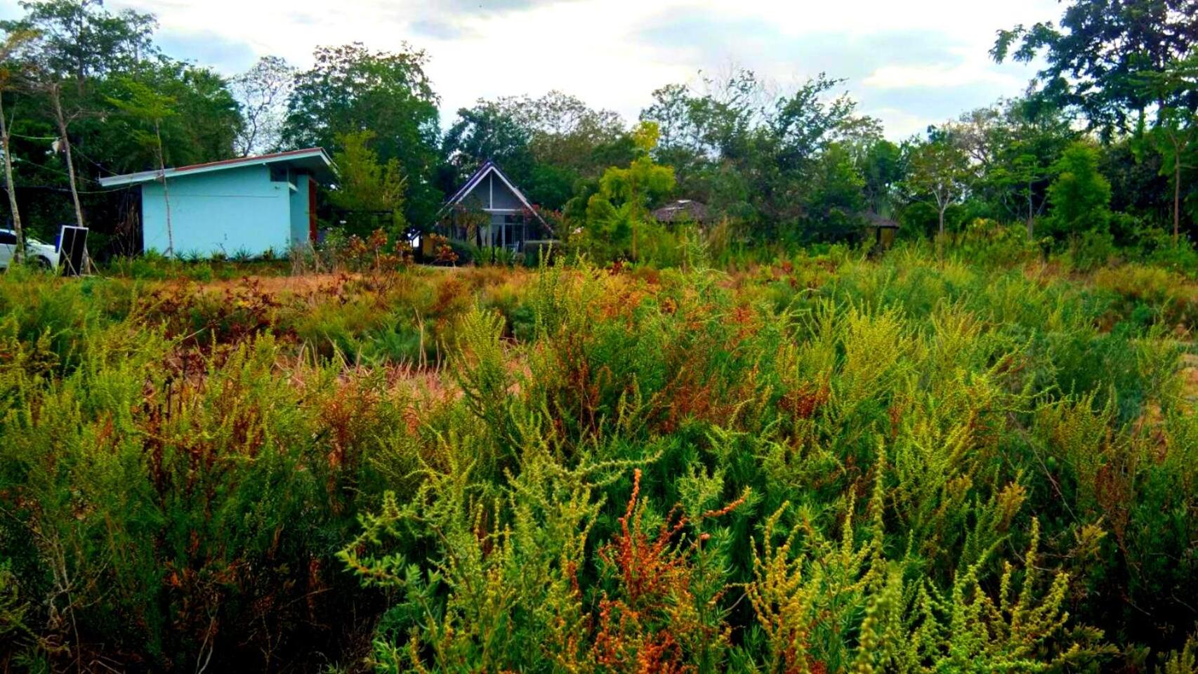 Ban Bang Home Resort