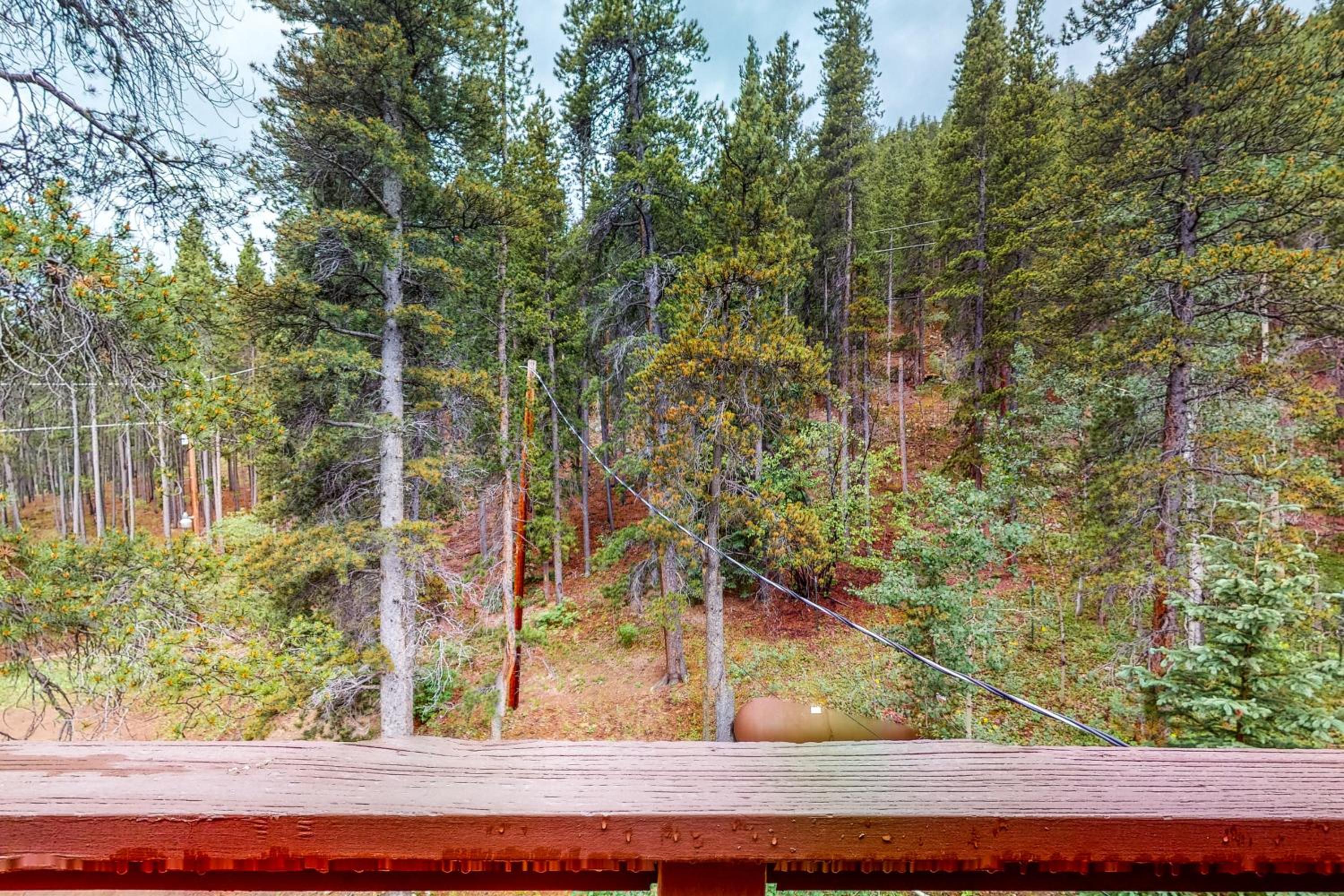 Deck and Mtn Views! Family A-Frame Cabin in Bailey