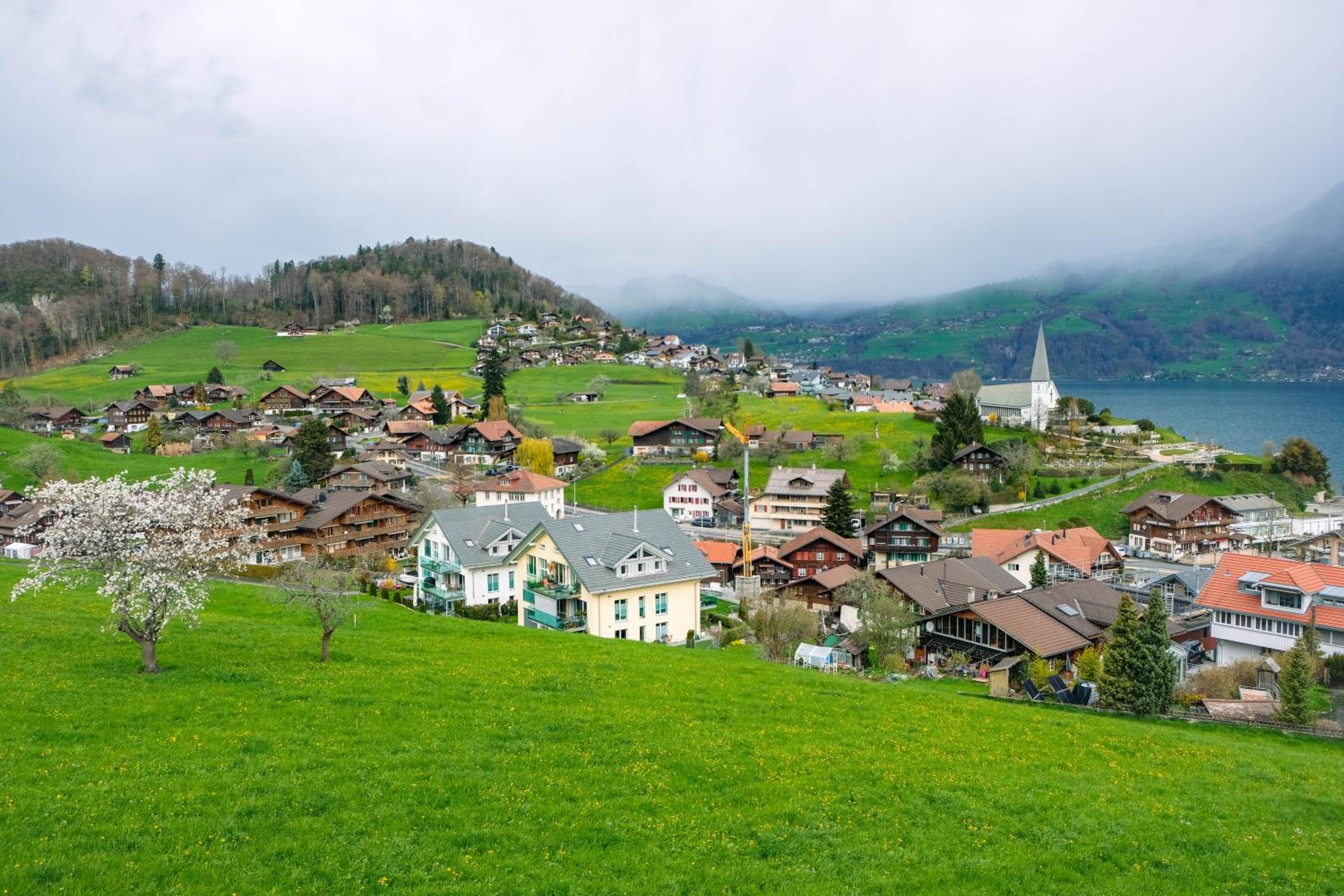 Niesen