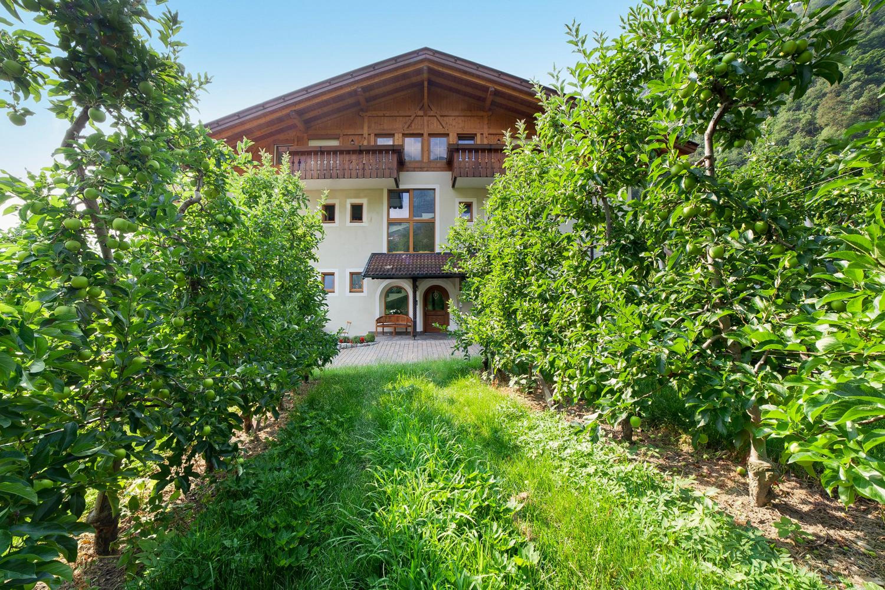 Obermoarhof Hirzer