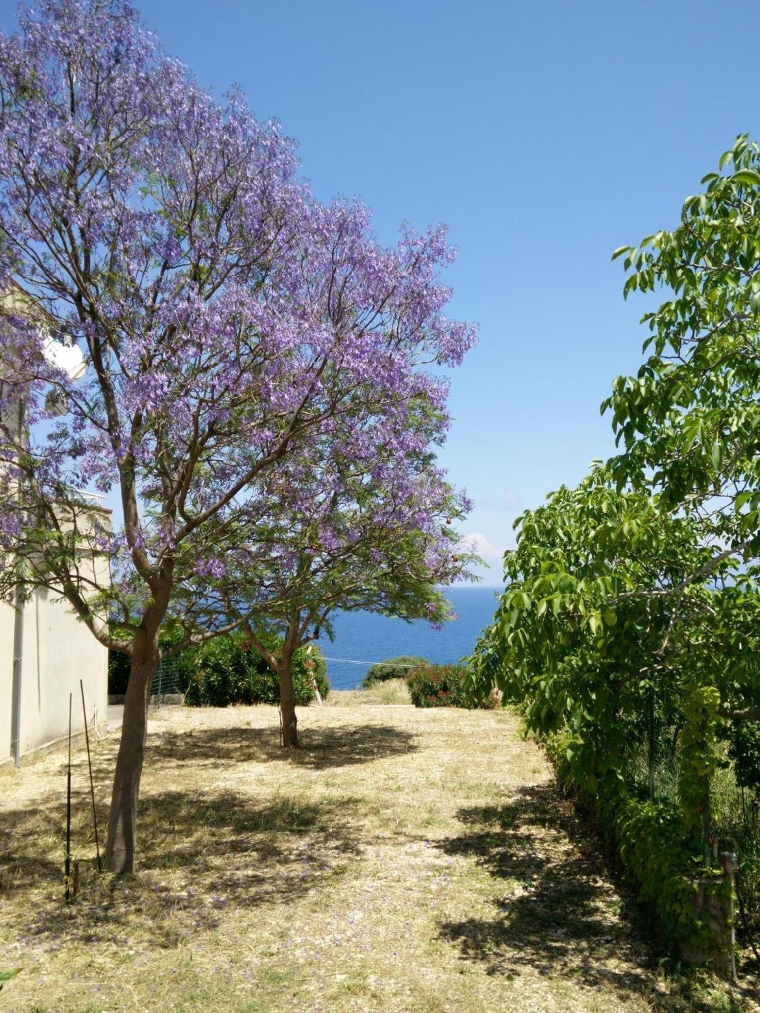 Bellavista Apartments view 4