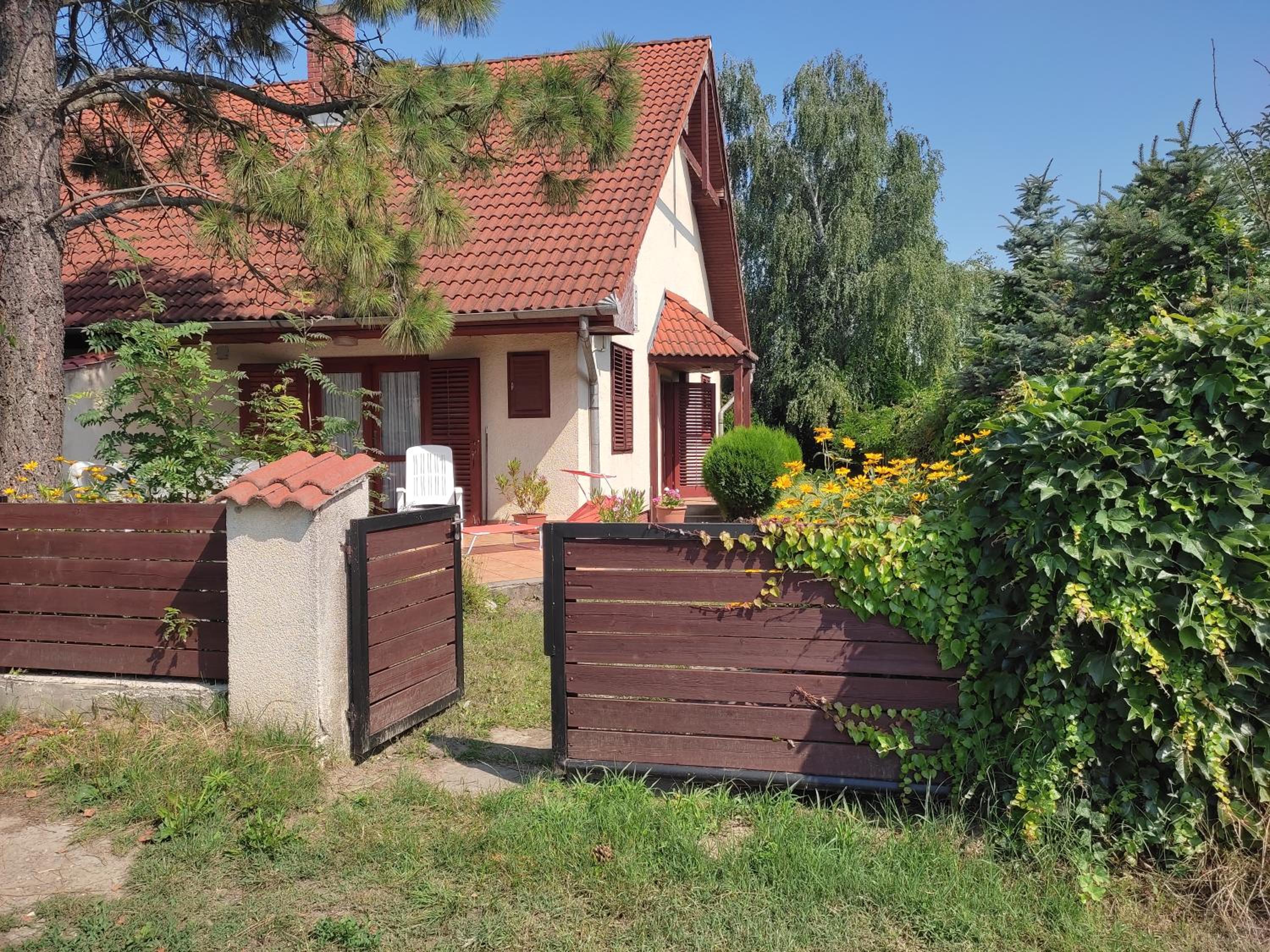Photo 23