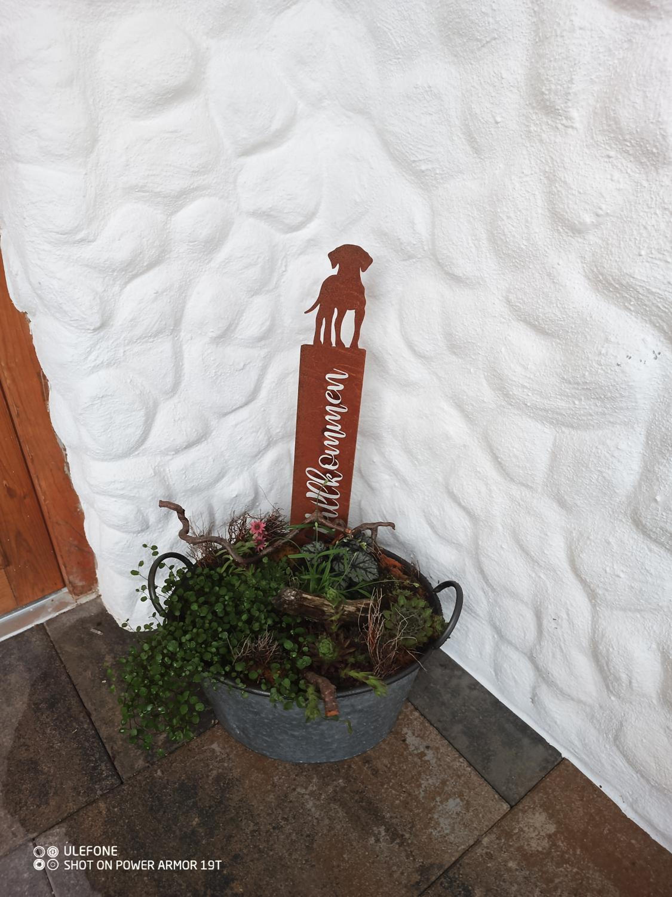 Ferienwohnung Immerschön