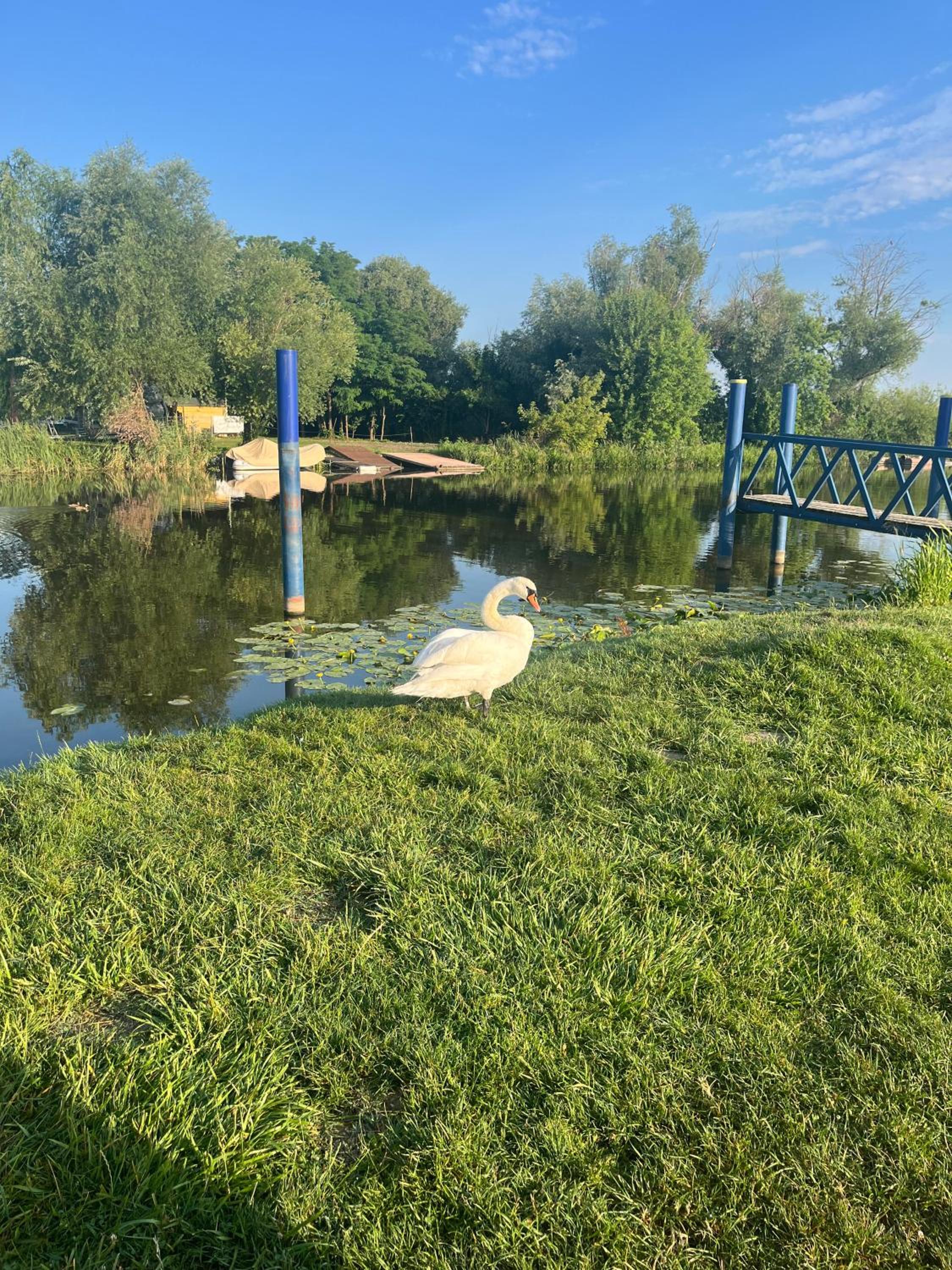 Photo 31