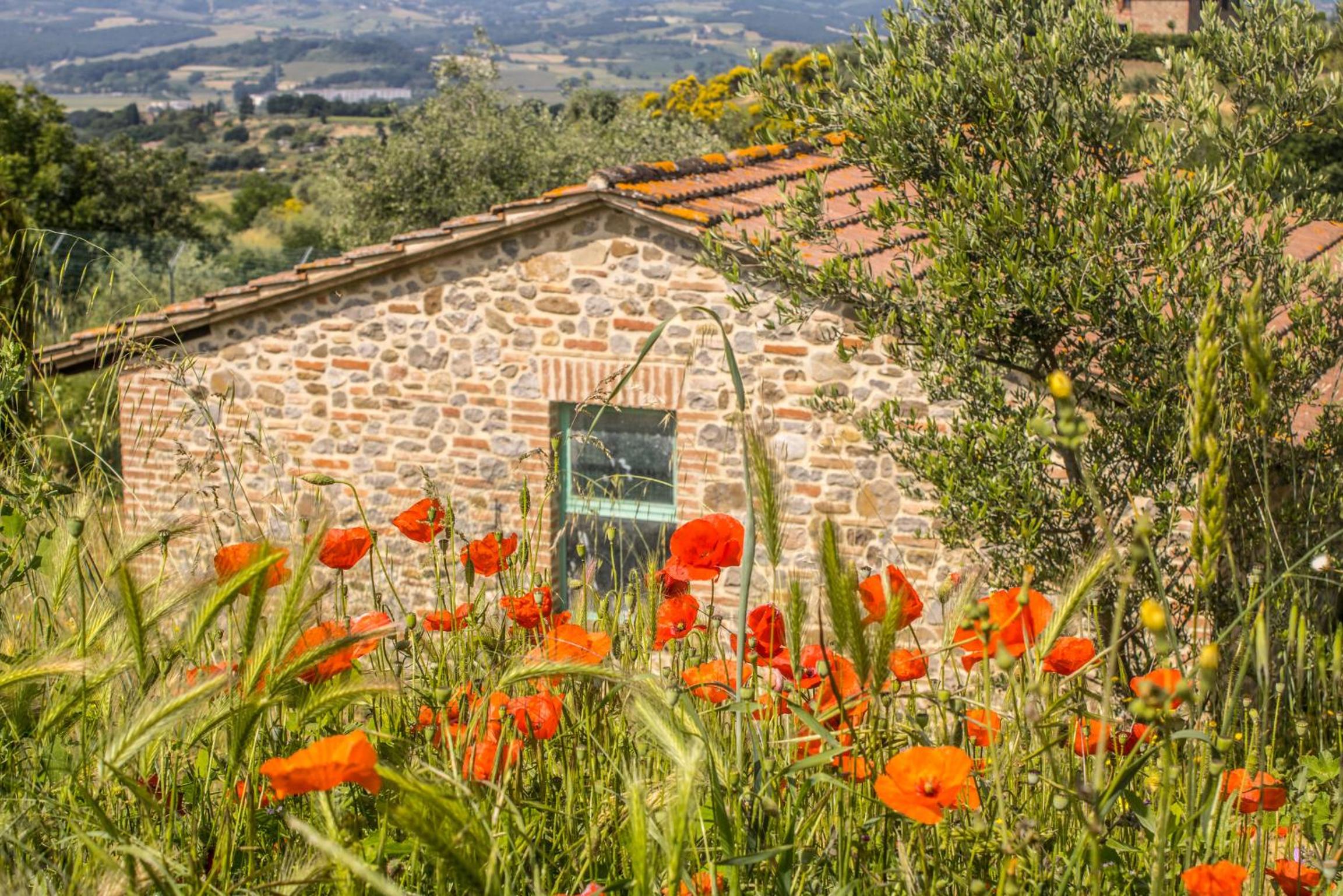 Agriturismo Dandelion